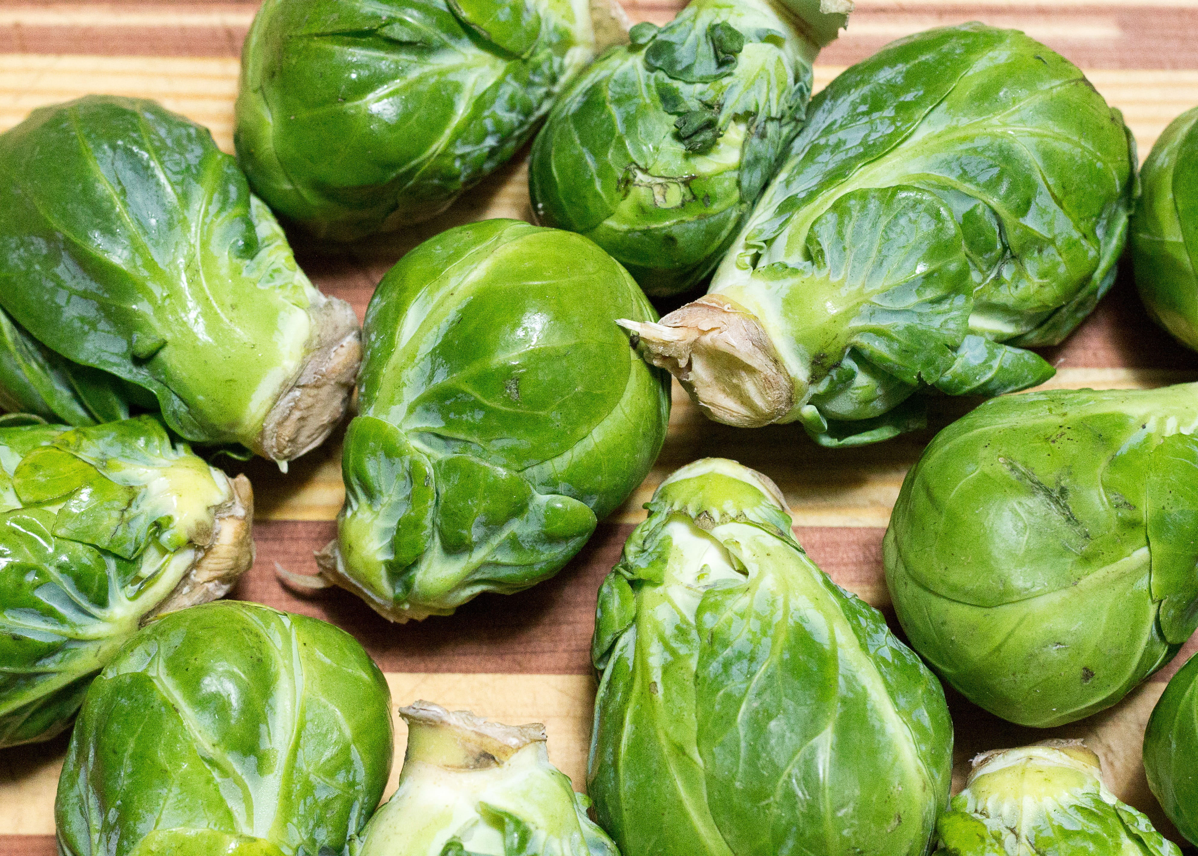 full frame, food and drink, wellbeing, freshness, brussels sprout, vegetable, Veg, garden, green, cabbage, Agriculture, abundance, food, no people, Growth, HD Wallpaper
