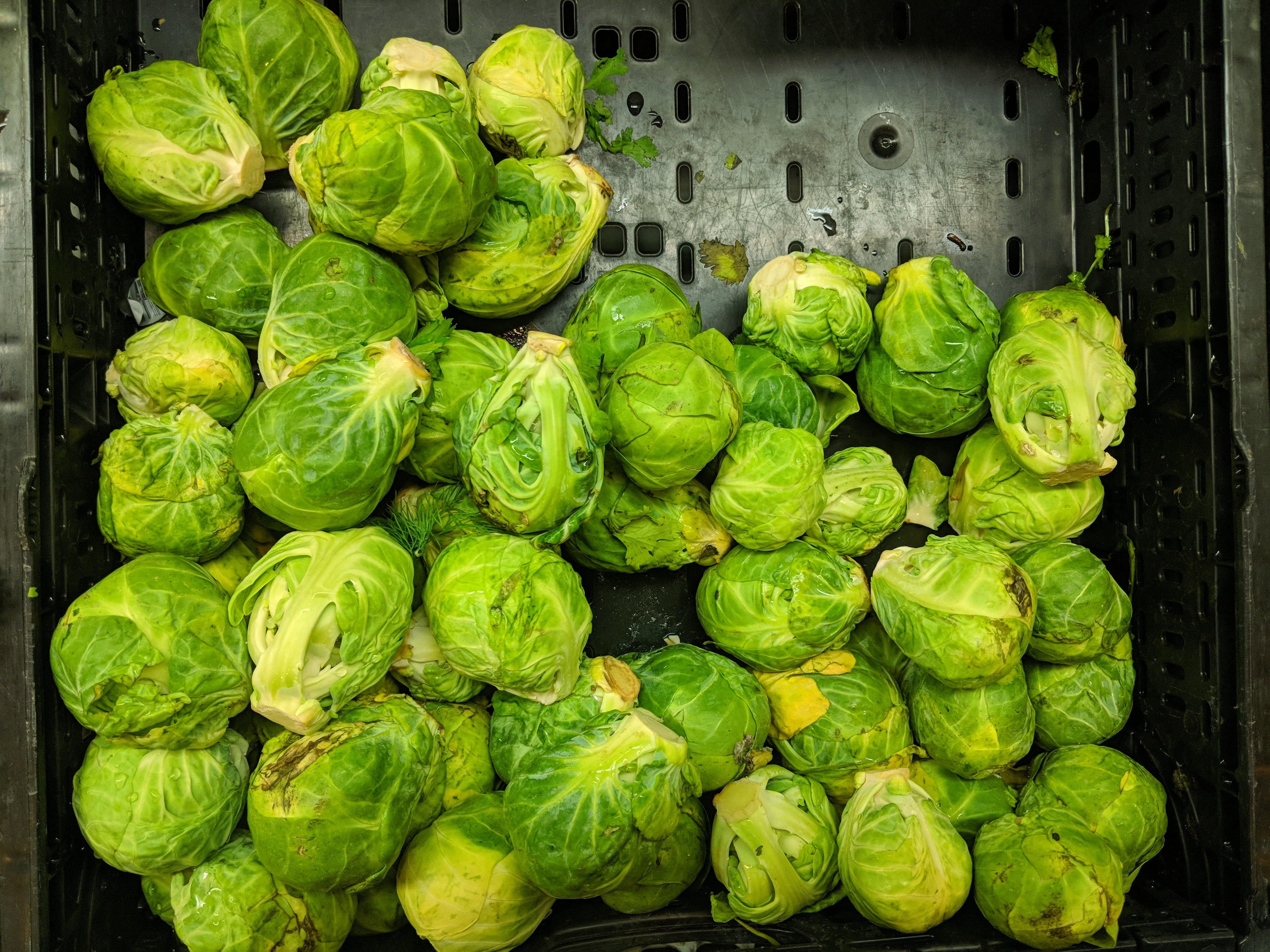 united states, vegetables, brussels sprout, food and drink, retail, citigroup center, healthy eating, flora, large group of objects, green, freshness, green color, HD Wallpaper