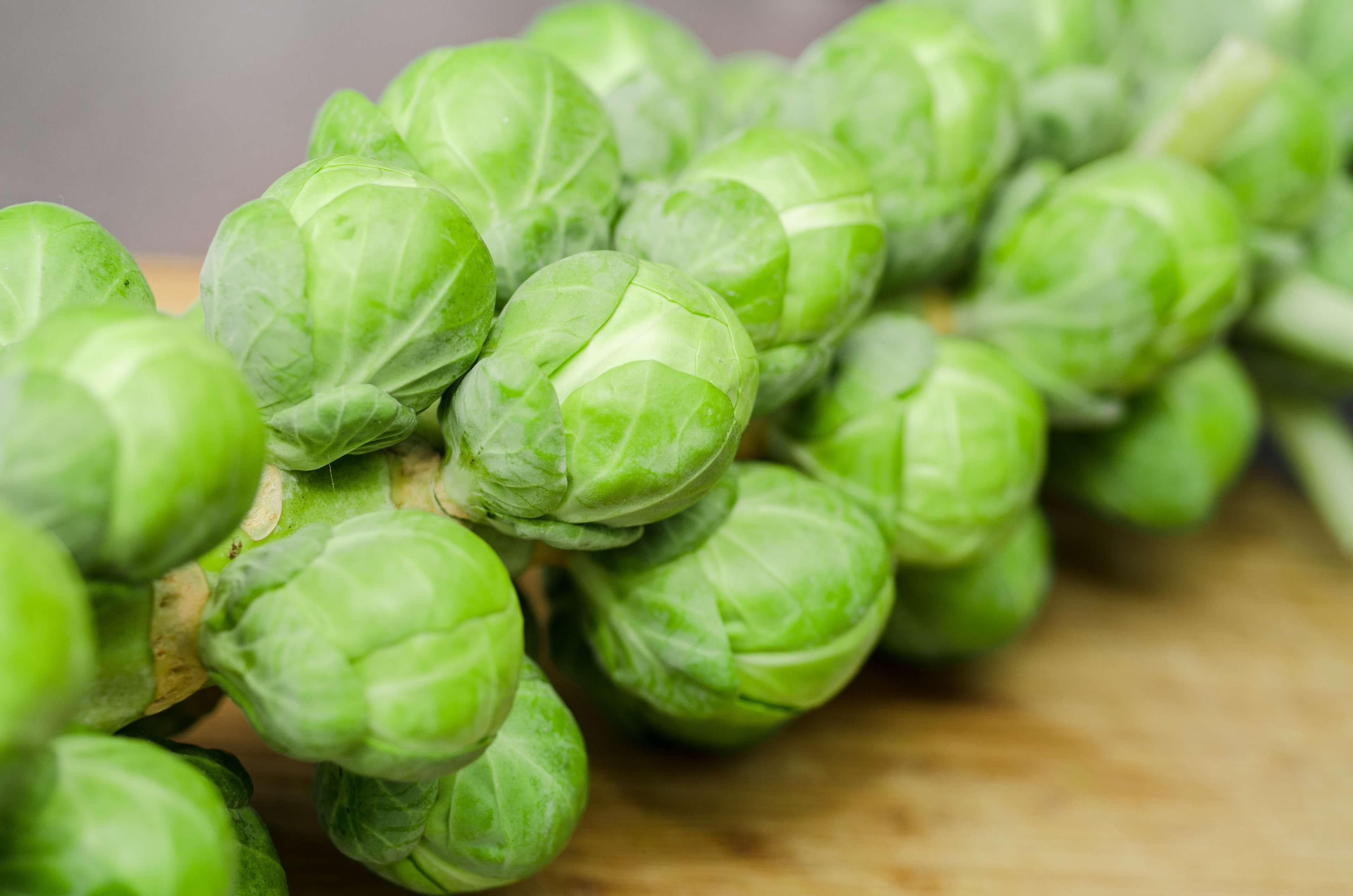 close-up, abundance, green, wood - material, recipe, organic, raw food, freshness, health, vegetable, no people, food and drink, agriculture, wellbeing, HD Wallpaper