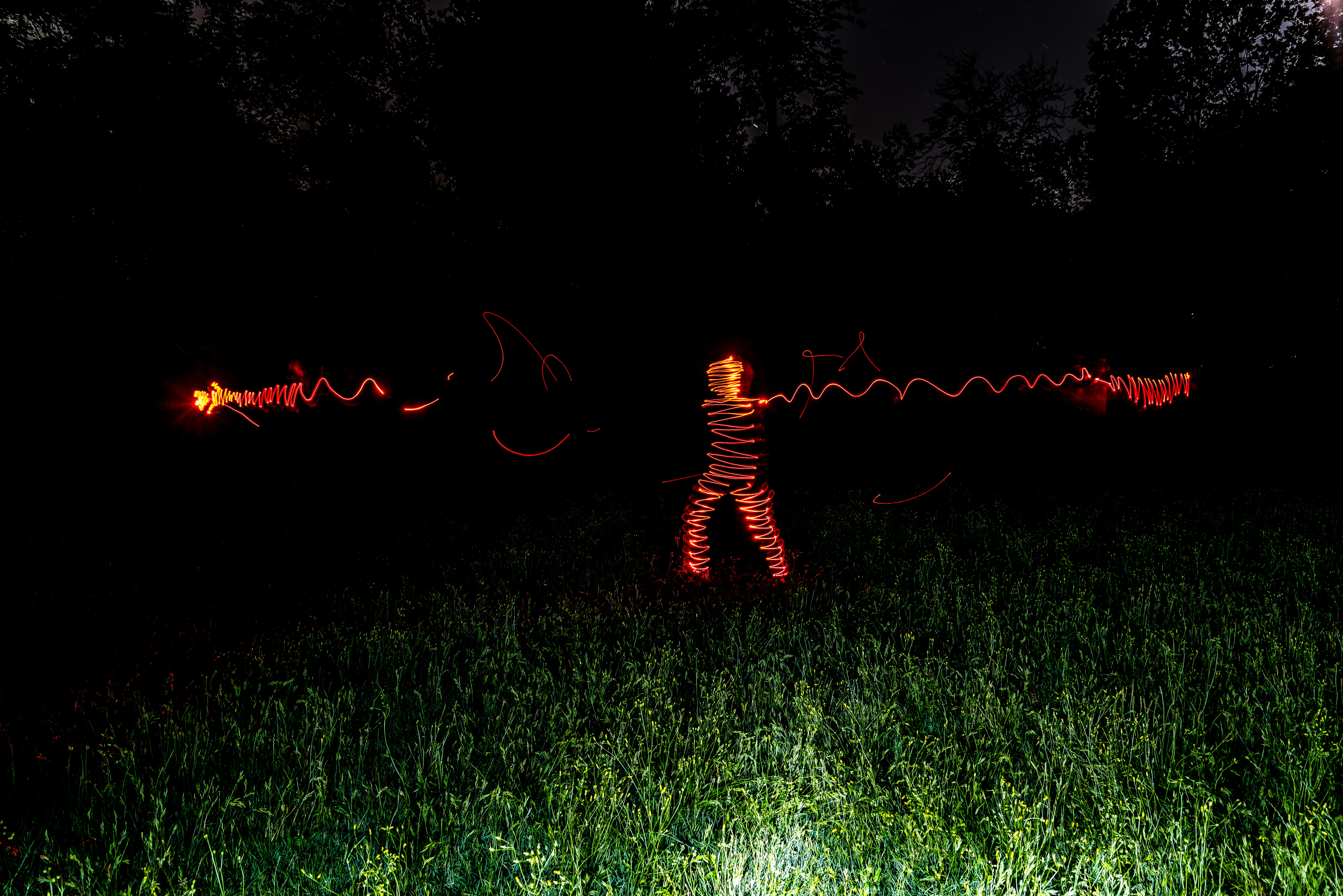 grass, light, person, land, plant, 5K, animal, longexposure, outdoors, insect, photographt, green, glowing, lightpaintingphotography, lighttheworld, environment, HD Wallpaper