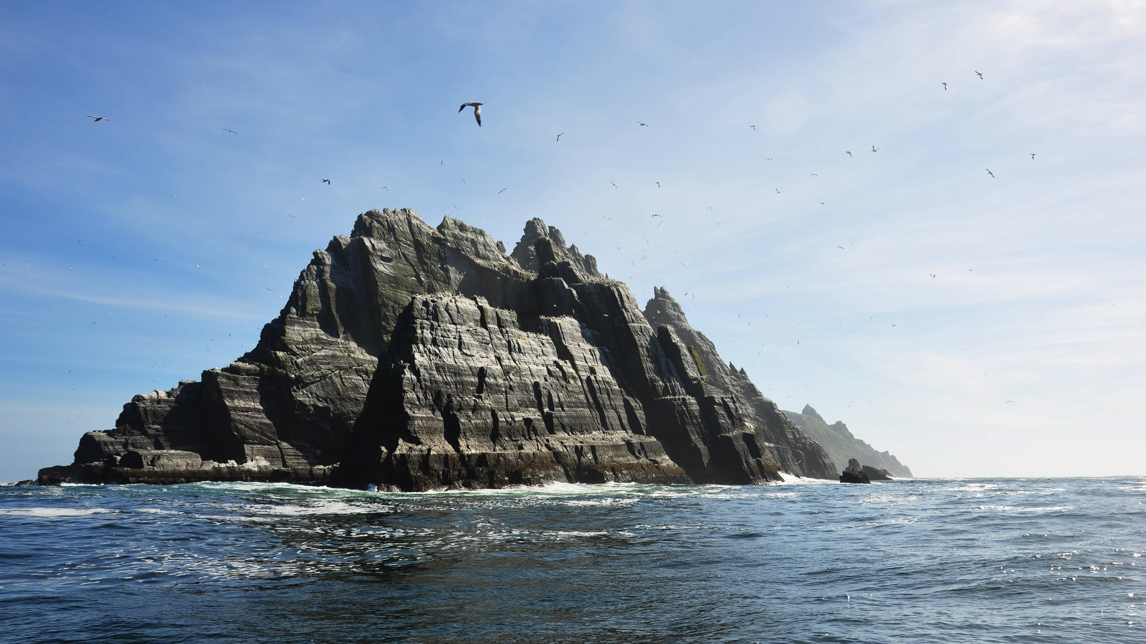 day, vertebrate, flock of birds, bid, animal wildlife, no people, solid, rocky, mystery, water, animal, nature, 4K, beauty in nature, seagulls, eroded, HD Wallpaper