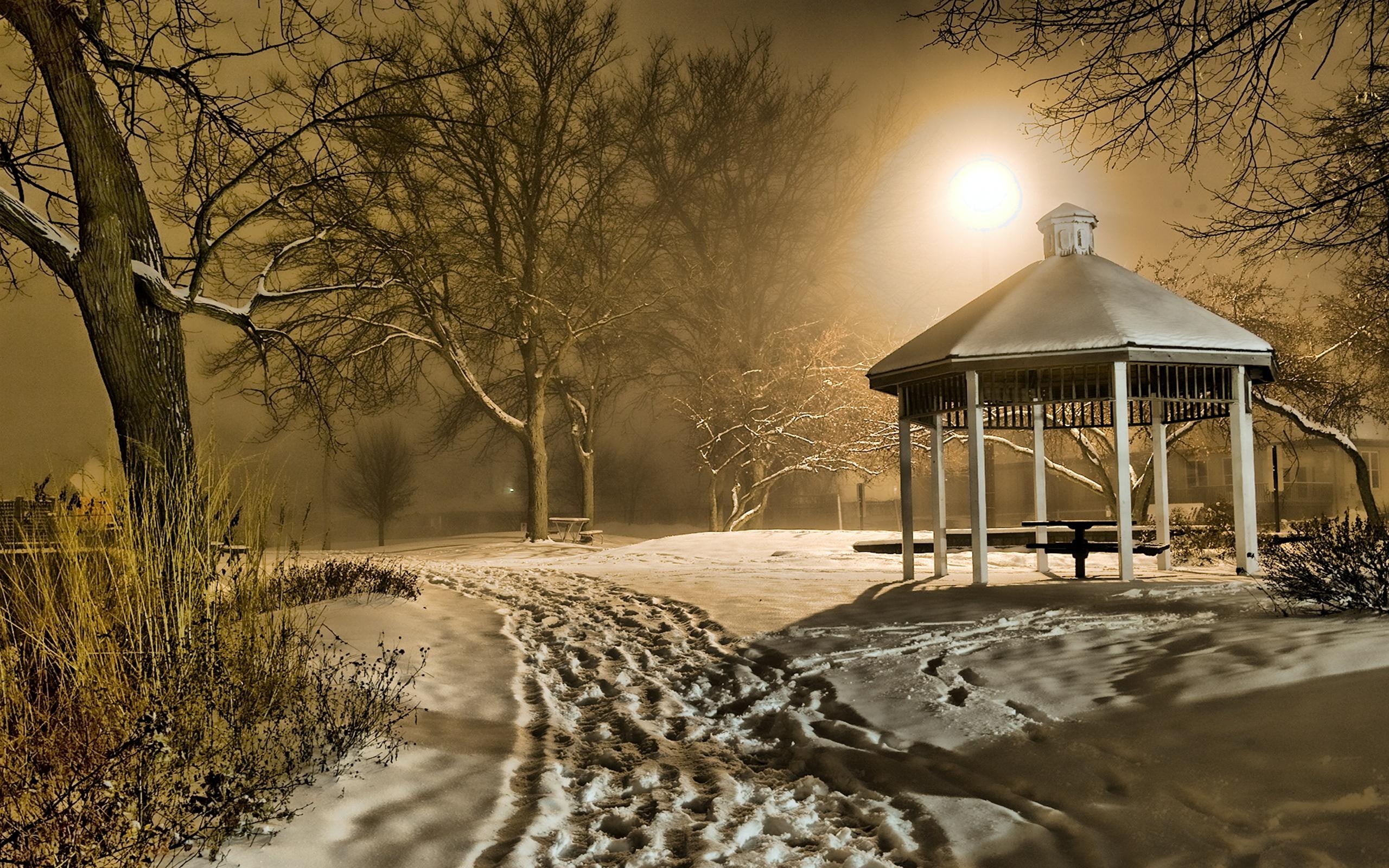 beautiful, winter, batavia, park, animals, gazebo, square, 2K, architecture, serene, city, foggy, night, HD Wallpaper