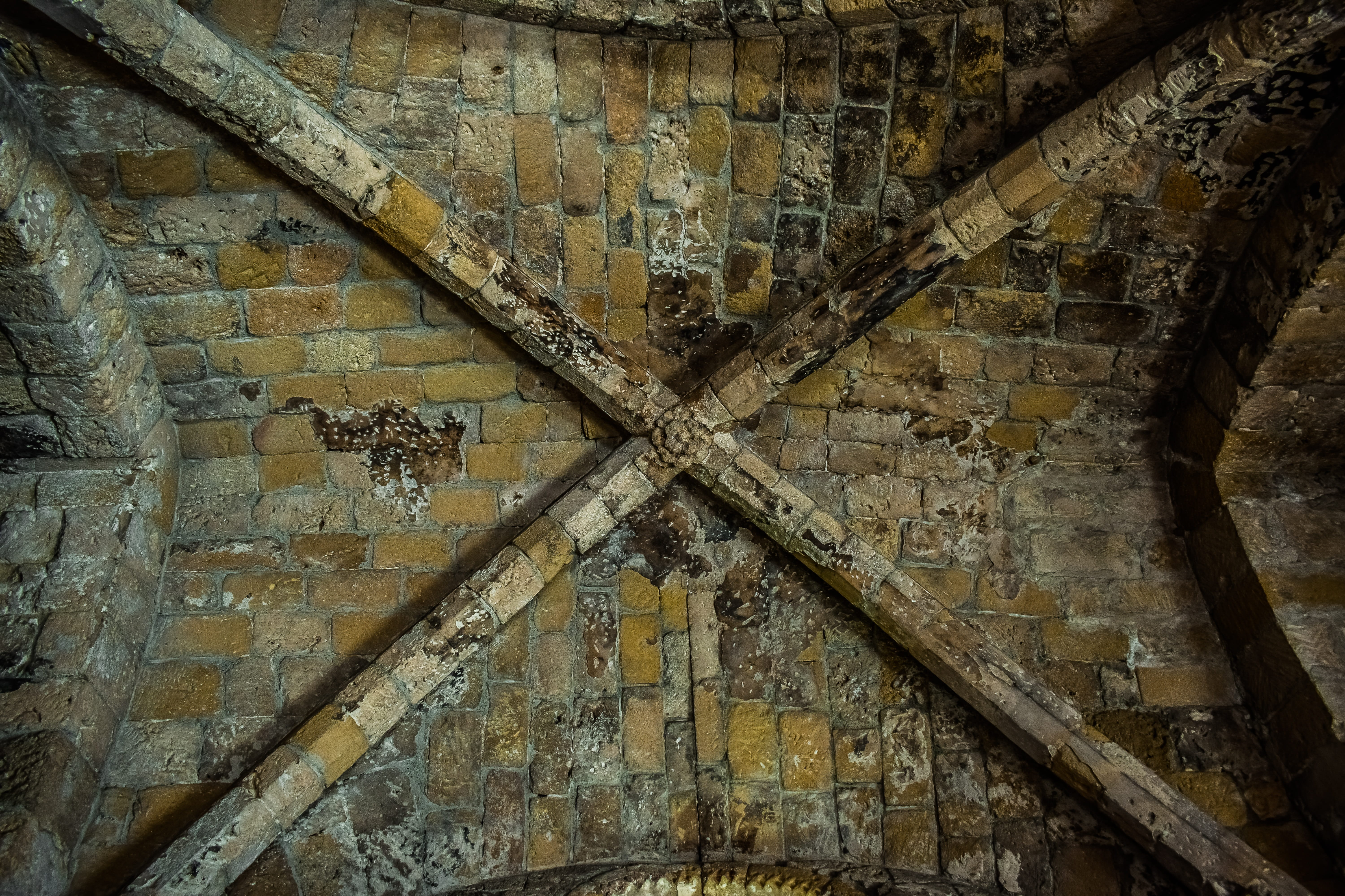 day, old, cyprus, history, unesco world heritage, church, ceiling, weathered, ruined, low angle view, orthodox, backgrounds, abandoned, monument, 5K, wall - building feature, HD Wallpaper