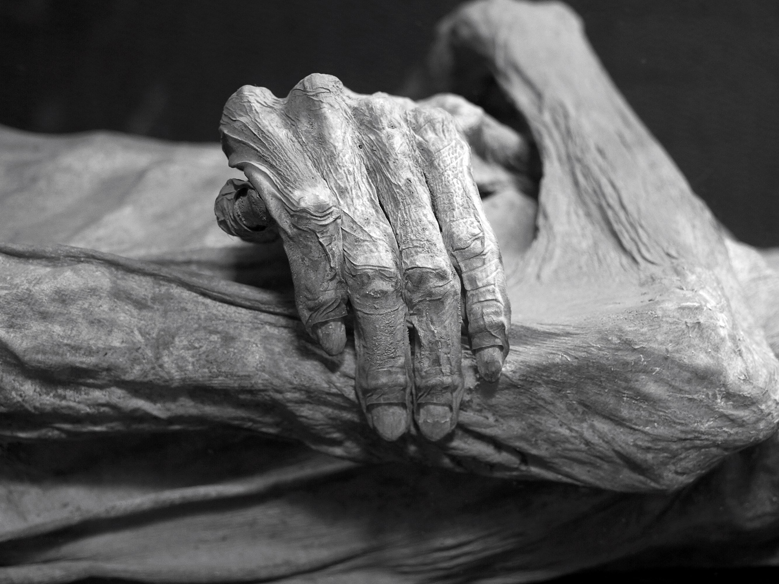 mummy, 2K, HD Wallpaper