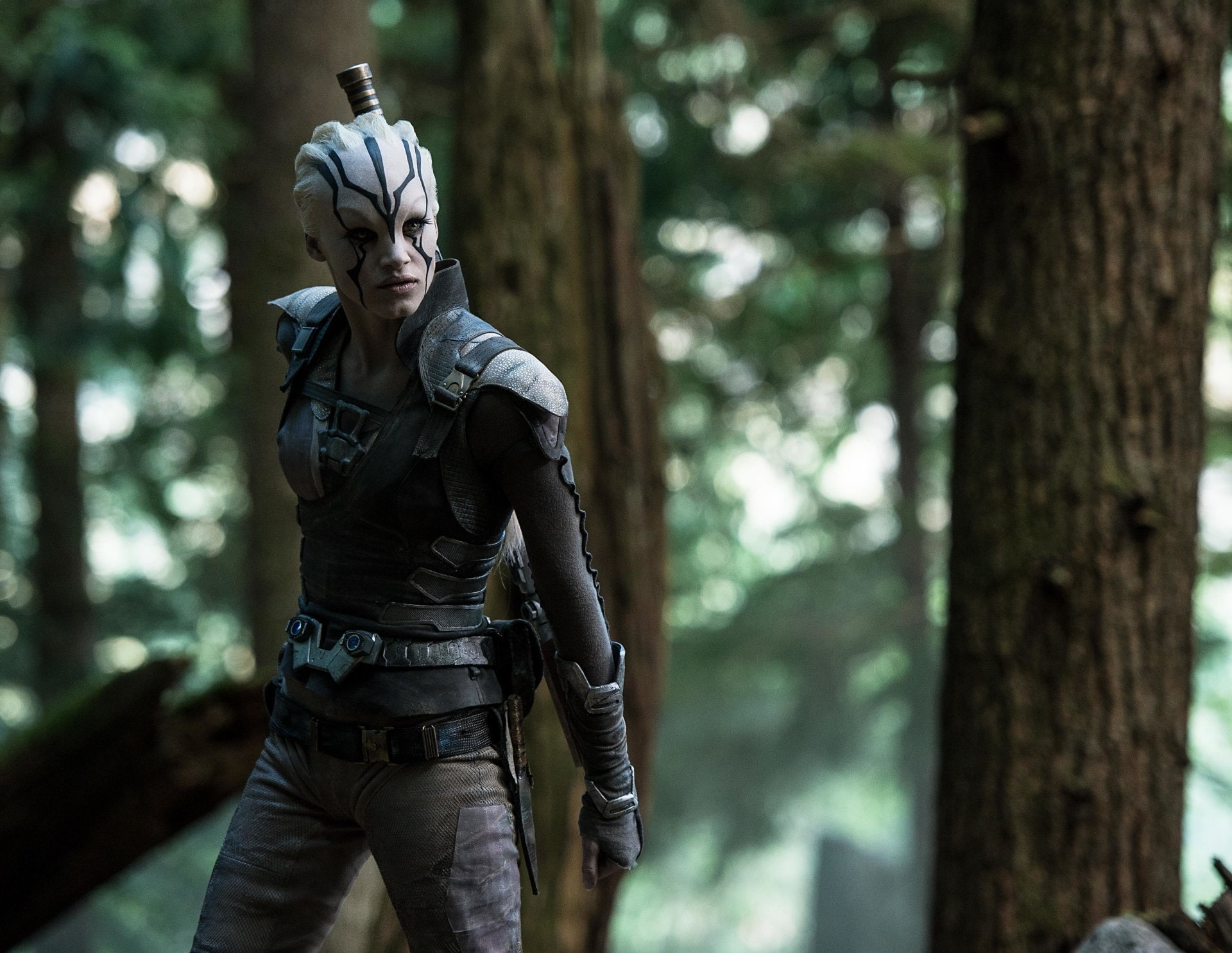 government, land, nature, Jaylah (Star Trek), Star Trek Beyond, focus on foreground, forest, outdoors, front view, plant, men, standing, three quarter length, HD Wallpaper