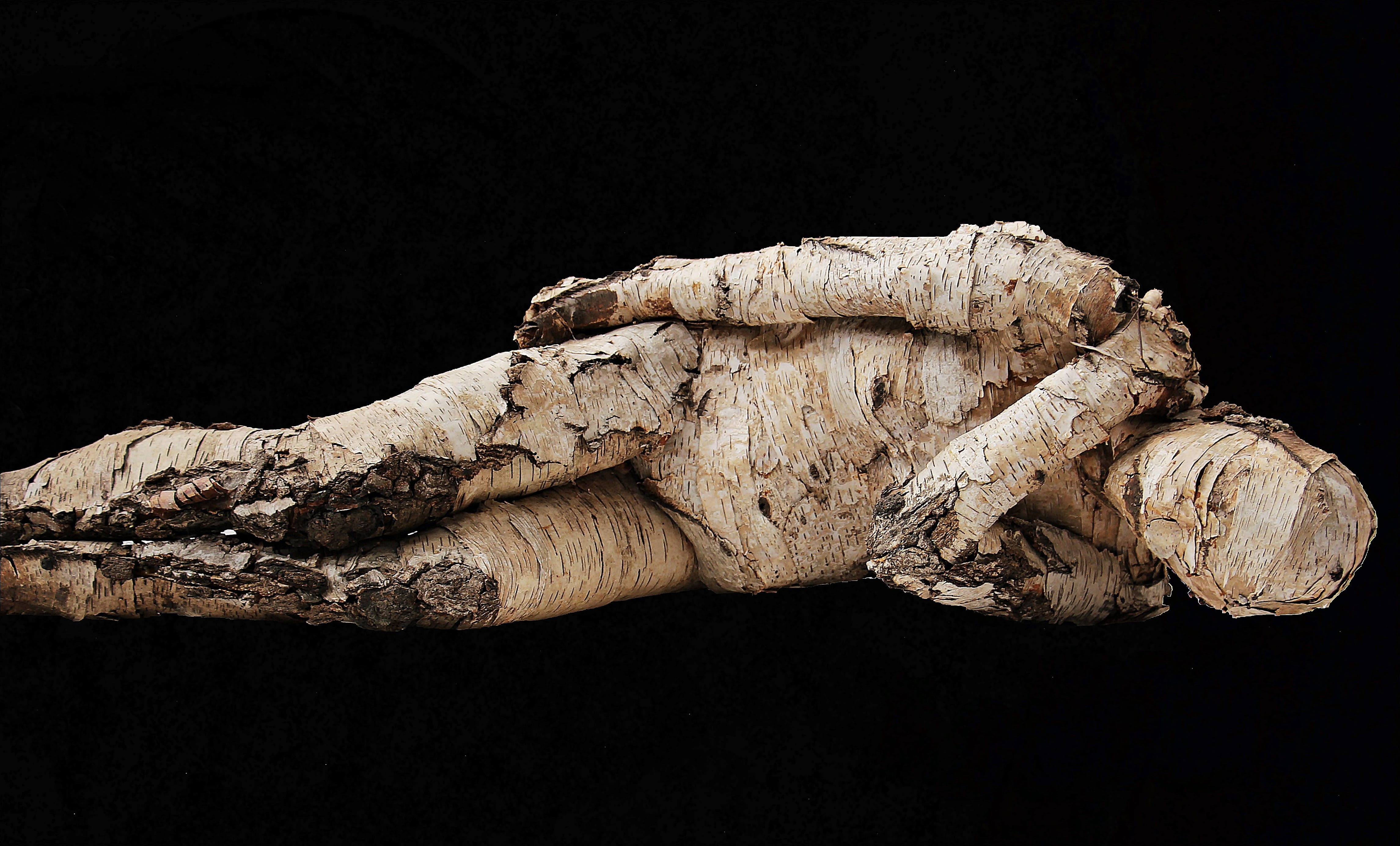 artwork, lizard, wood, textured, natural wood man, close-up, branch, reptile, single object, no people, animals in the wild, nature, bierke, art, full length, HD Wallpaper