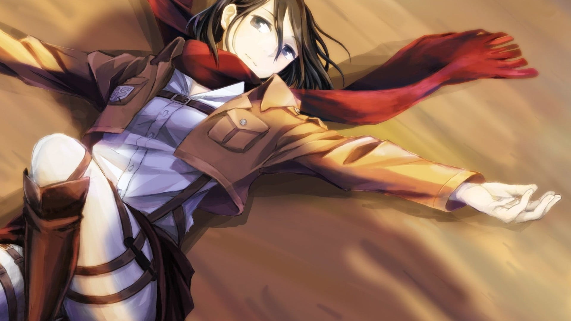 lifestyles, red, indoors, anime girls, clothing, low section, real people, close-up, Shingeki no Kyojin, beauty in nature, high angle view, 1080P, Mikasa Ackerman, HD Wallpaper