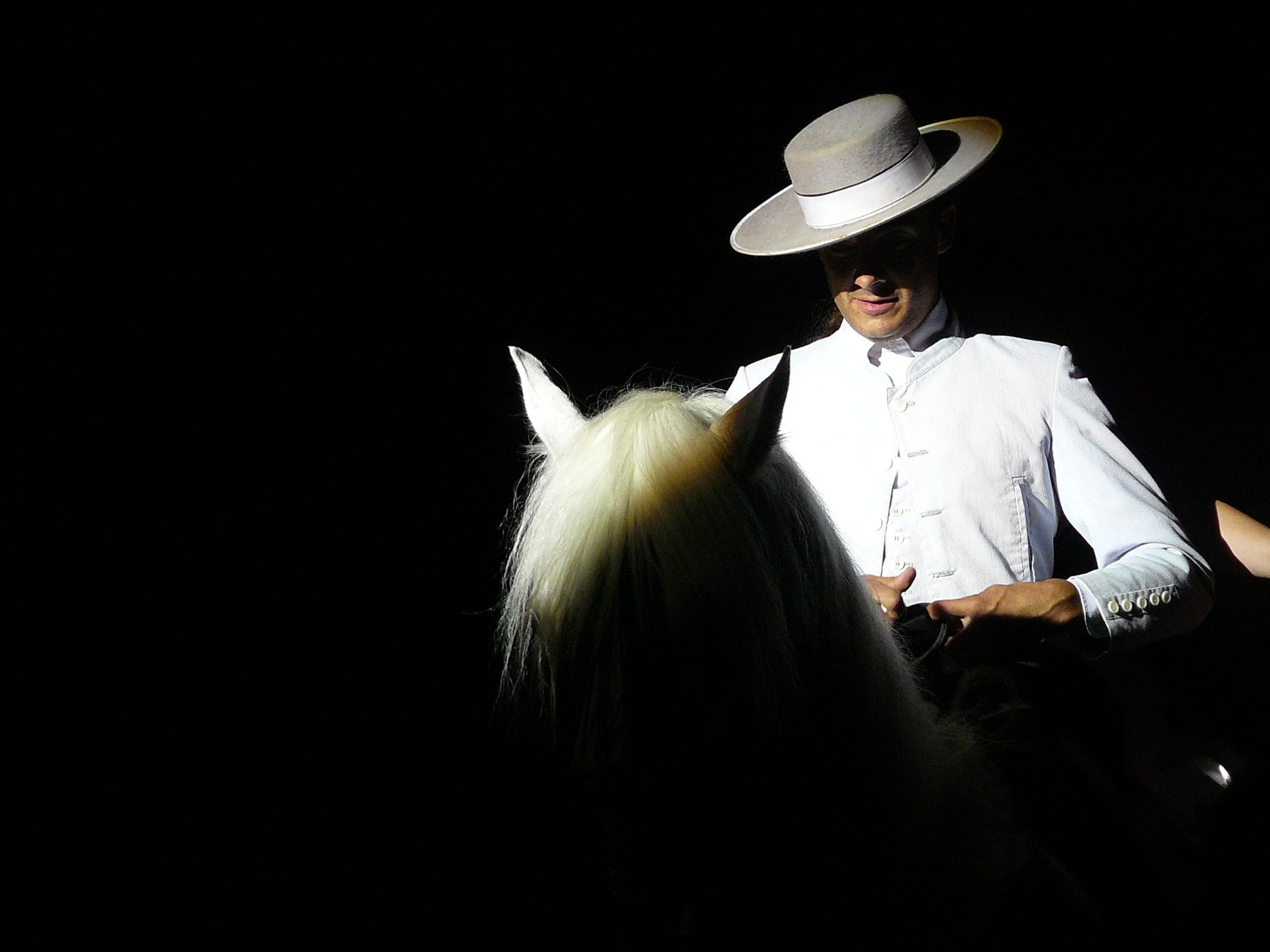 rider, 2K, one person, cowboy hat, Horse, livestock, adult, clothing, copy space, mammal, people, Rider, studio shot, Equestrian, black background, one animal, HD Wallpaper