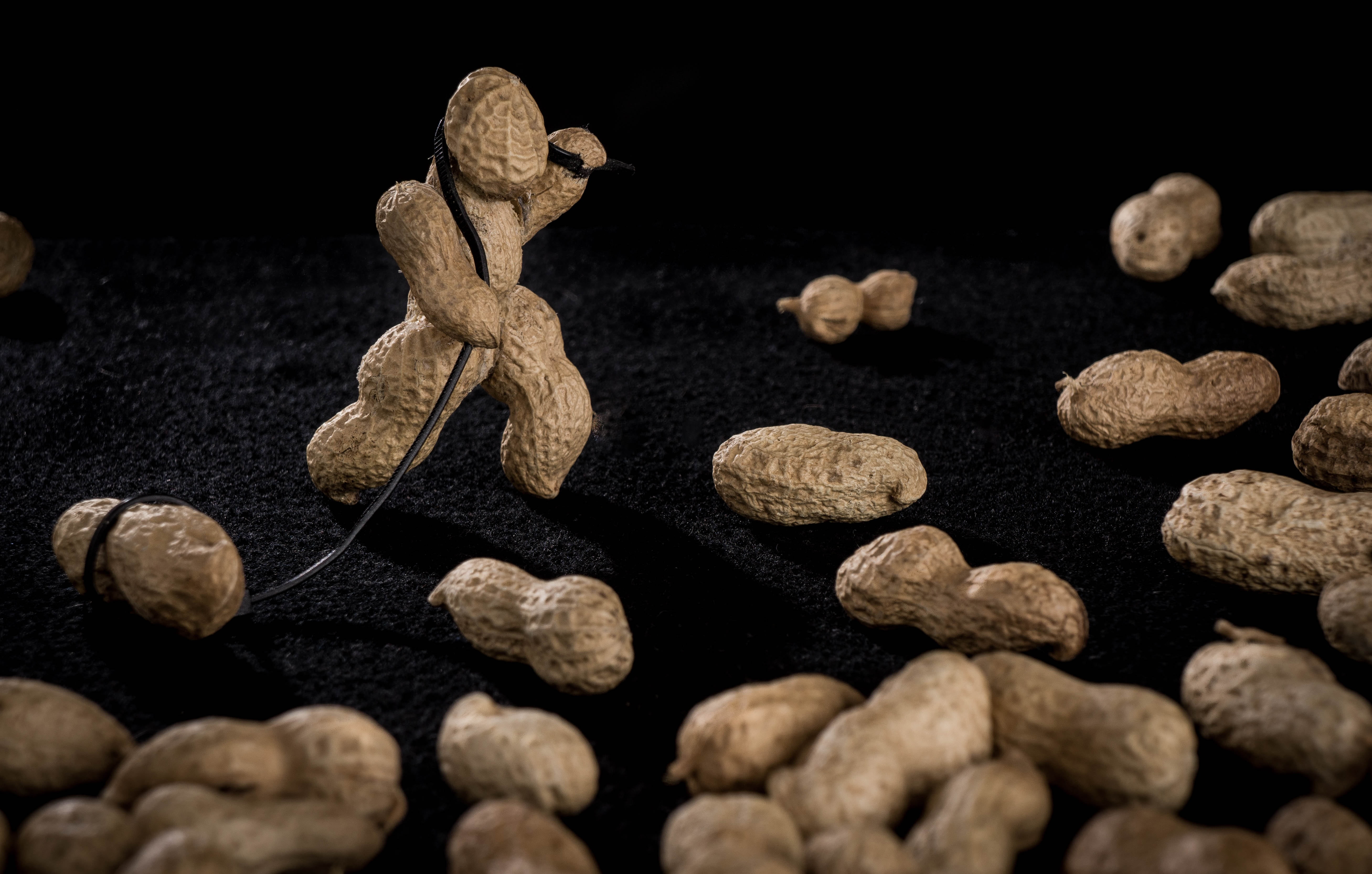 large group of objects, close-up, nuts, abundance, surface, snack, food, 5K, selective focus, brown, spice, studio shot, freshness, allegory, representation, HD Wallpaper