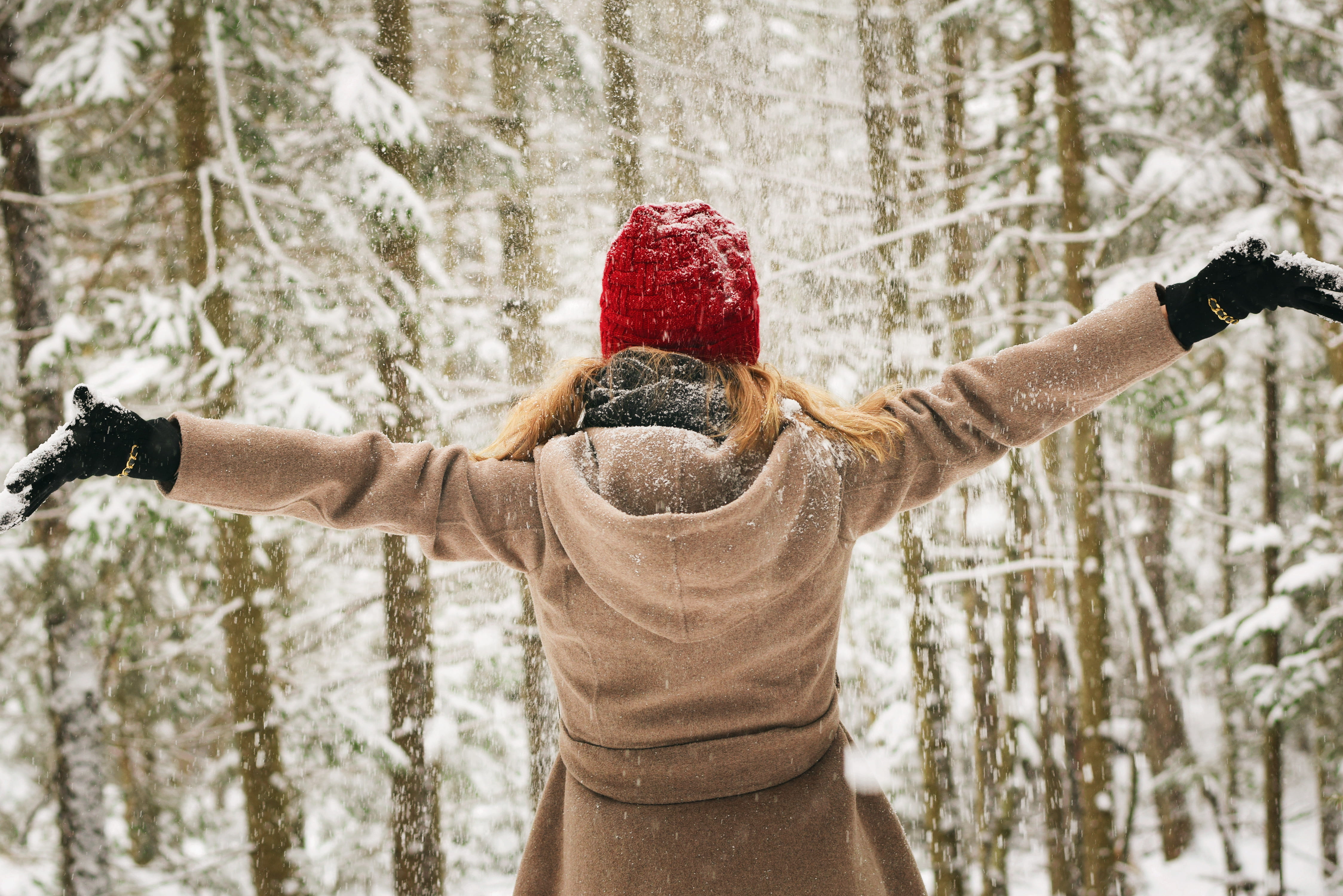 trees, arms outstretched, standing, coat, woman, ice, lifestyles, warm clothing, 4K, human arm, body part, winter, adult, plant, human limb, frozen, bonnet, HD Wallpaper