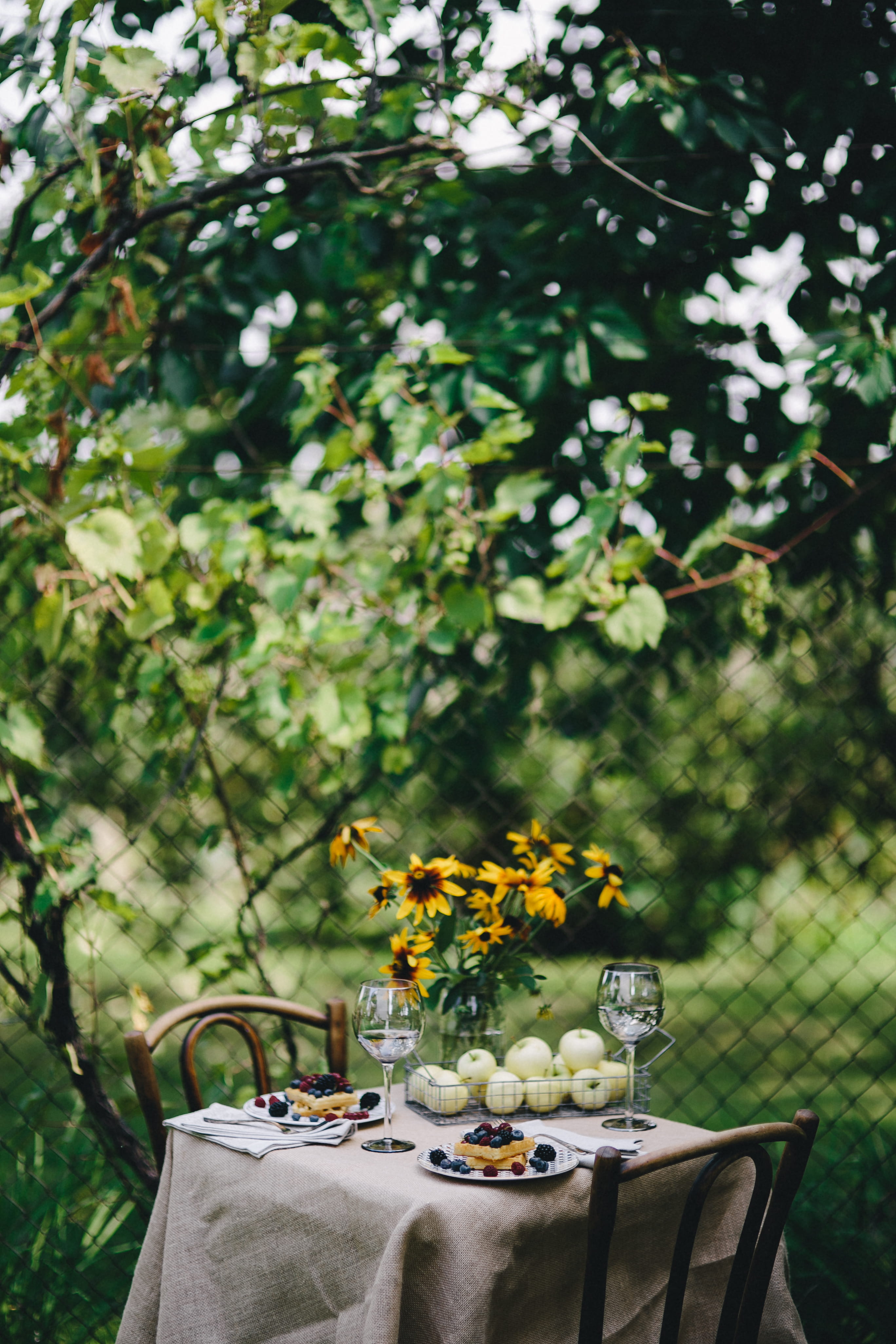 vase, picnic, nature, Healthy, rest, 4K, freshness, table, lunch, chair, health, flowers, garden, food and drink, eating, focus on foreground, food, flower pot, Phone HD Wallpaper