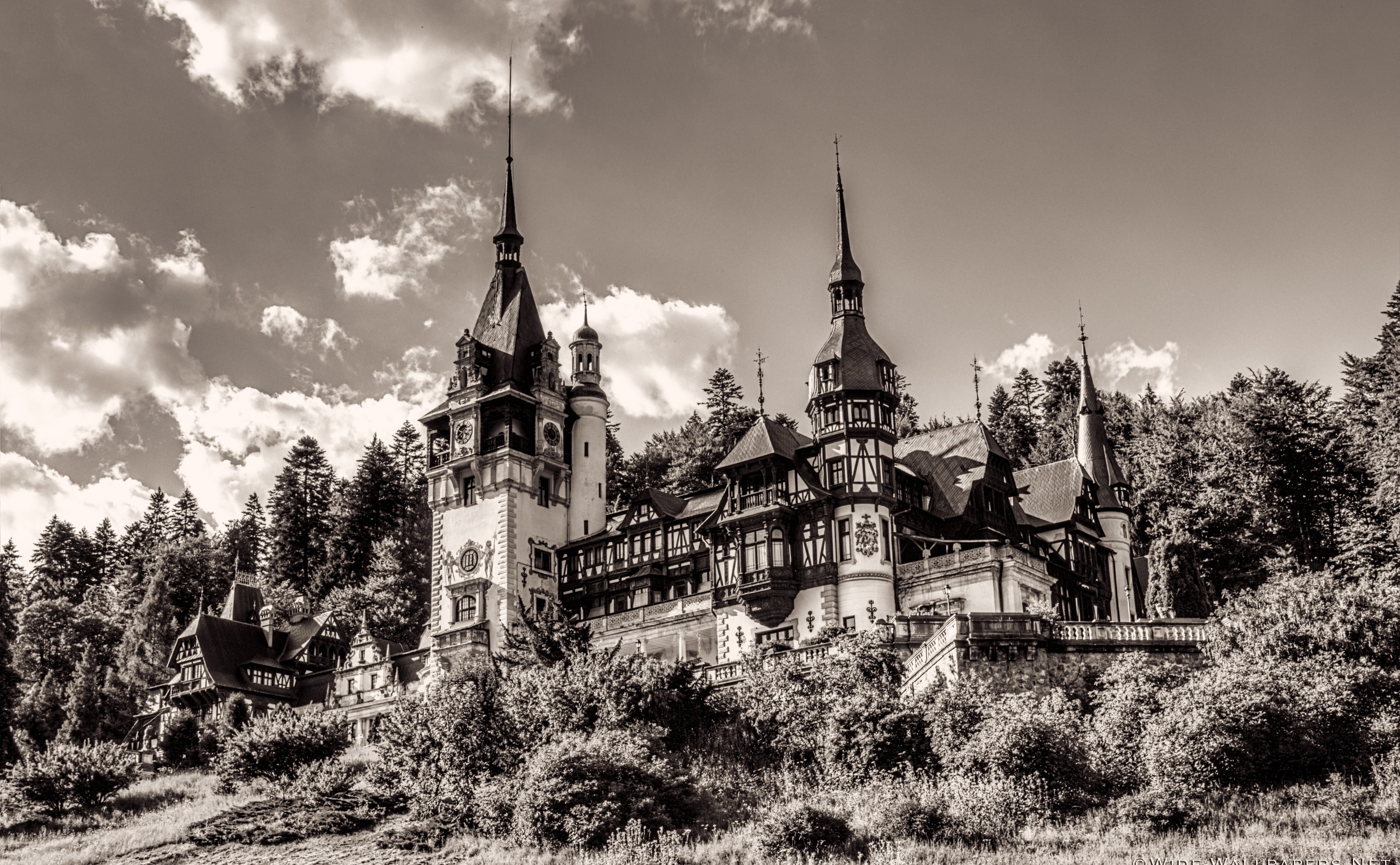Holidays, building, spire, spirituality, nature, architecture, Romania, Sepia, travel destinations, no people, plant, building exterior, Halloween, Peles, HD Wallpaper