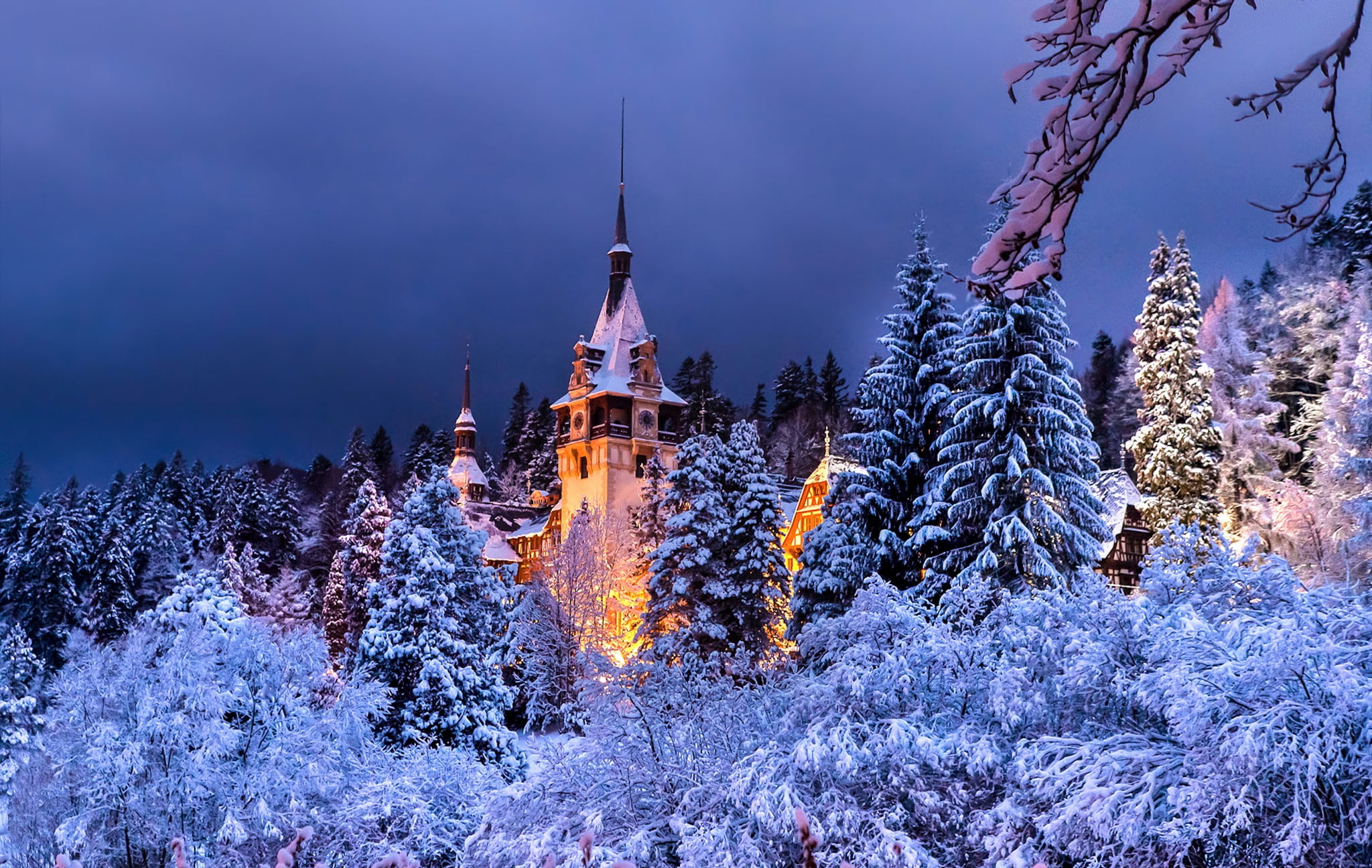 cold temperature, sky, built structure, nature, illuminated, forest, pine tree, place of worship, Peles castle, no people, snow, land, outdoors, HD Wallpaper