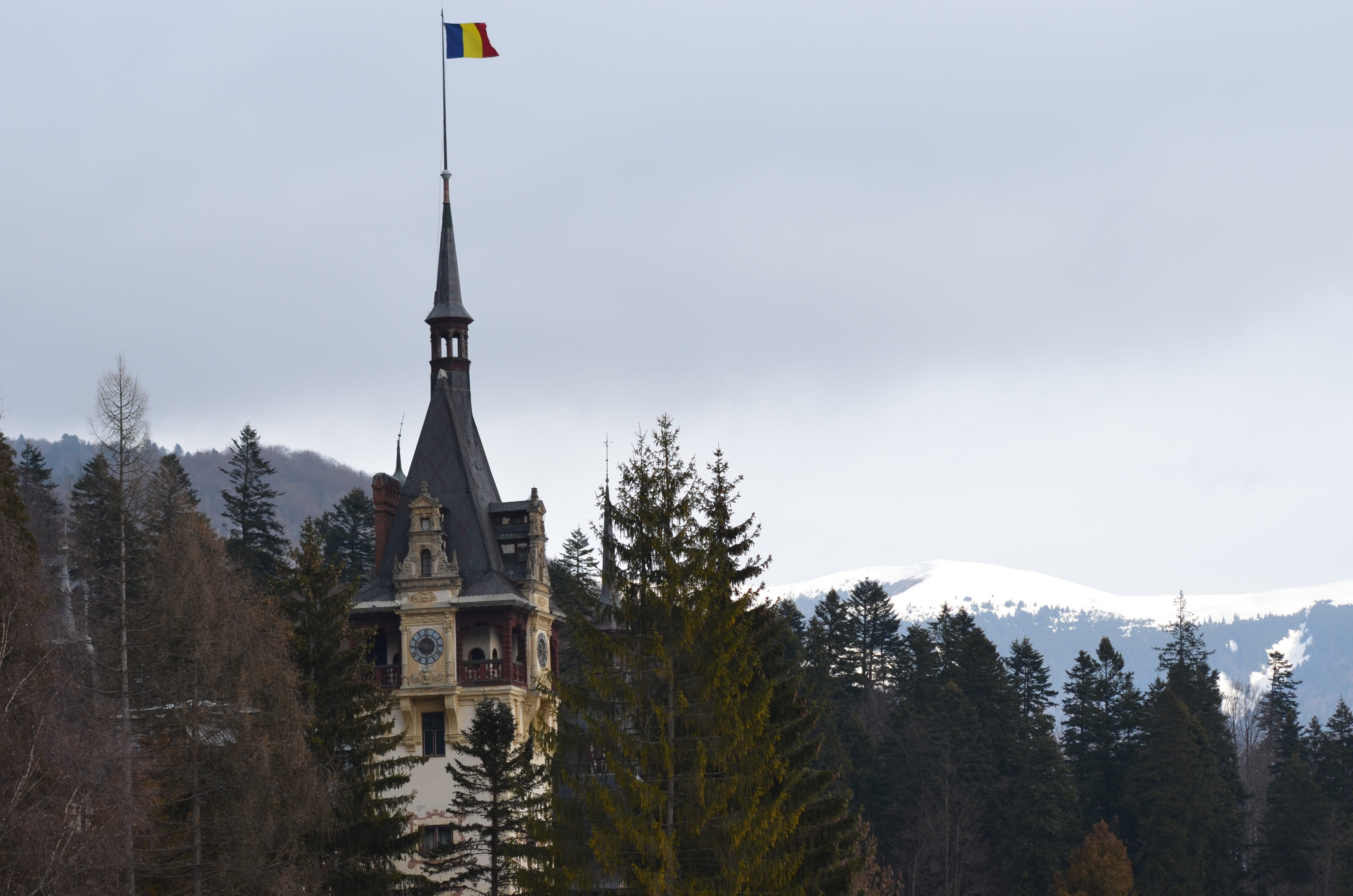 plant, castle, spire, 4K, old, landscape, peles, scenics - nature, tree, snow, nature, building exterior, religion, outdoors, winter, cold temperature, HD Wallpaper