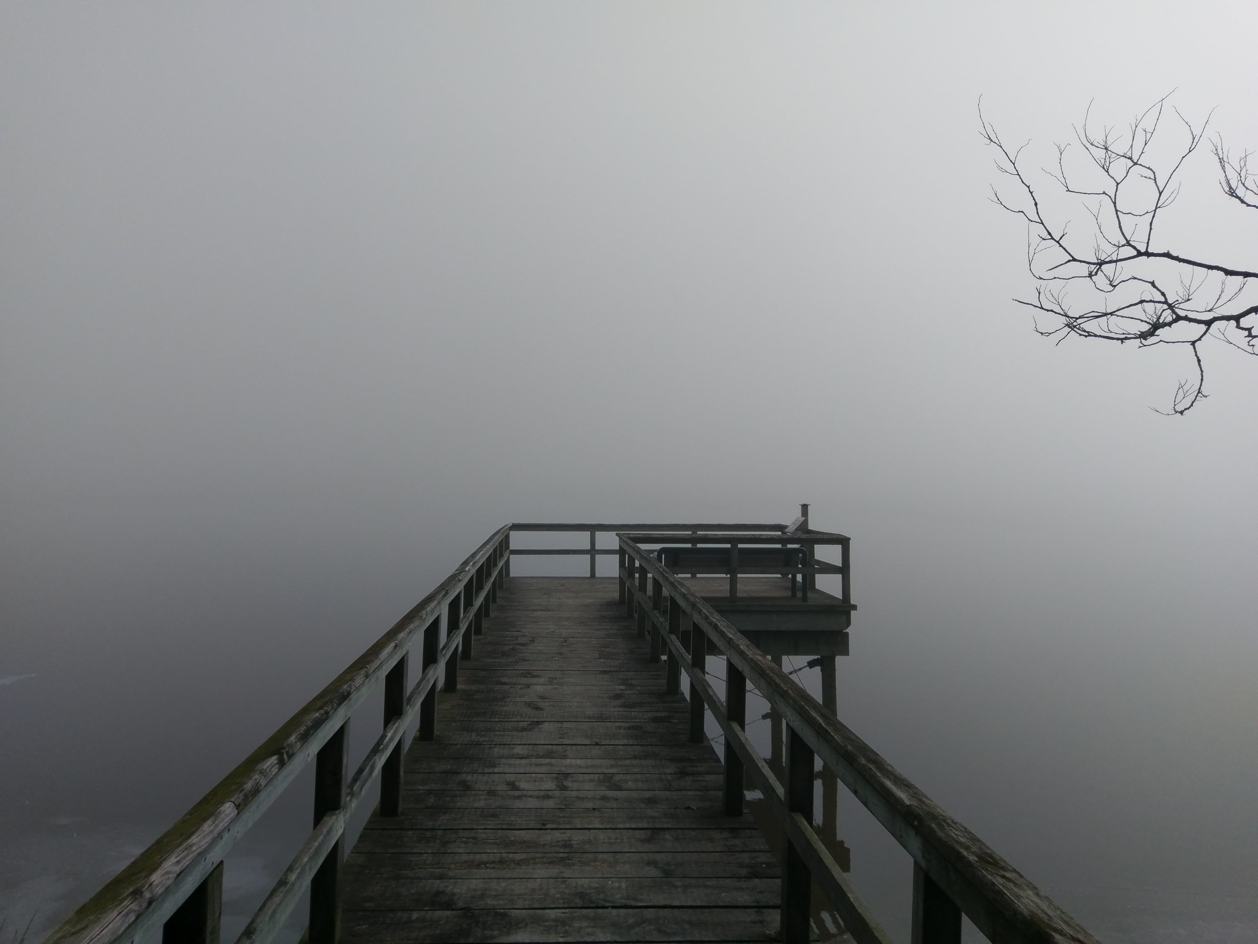 nature, pelee, Its hard, point, waterfowl, outdoors, wood - Material, this morning, wooden, Point Pelee, ponds, fog, sea, 4K, dock, wetlands, brown, HD Wallpaper