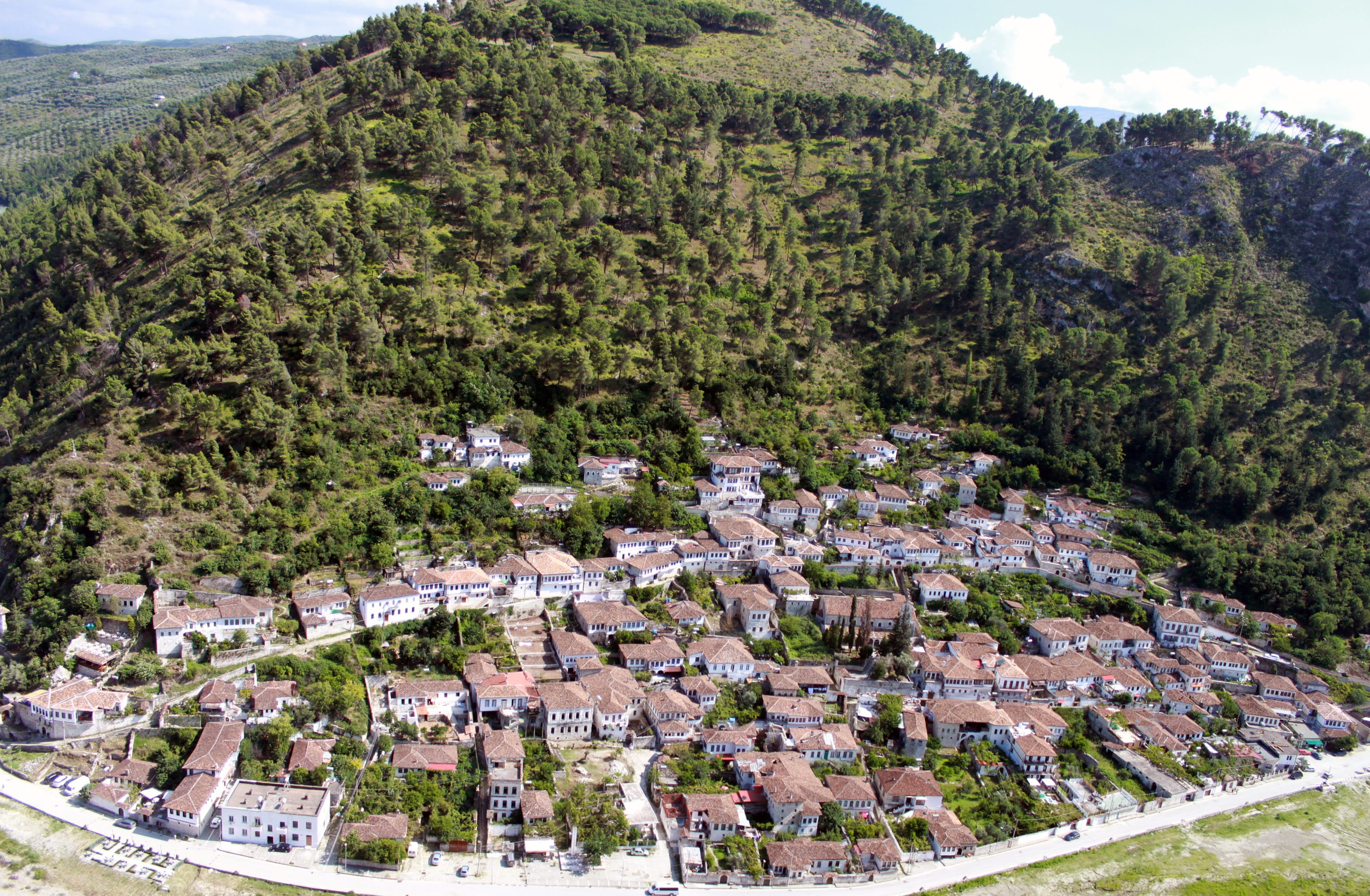 tree, landscape, 2K, residential district, green color, history, building exterior, outdoors, day, town, house, berat, plant, growth, mountain, built structure, HD Wallpaper
