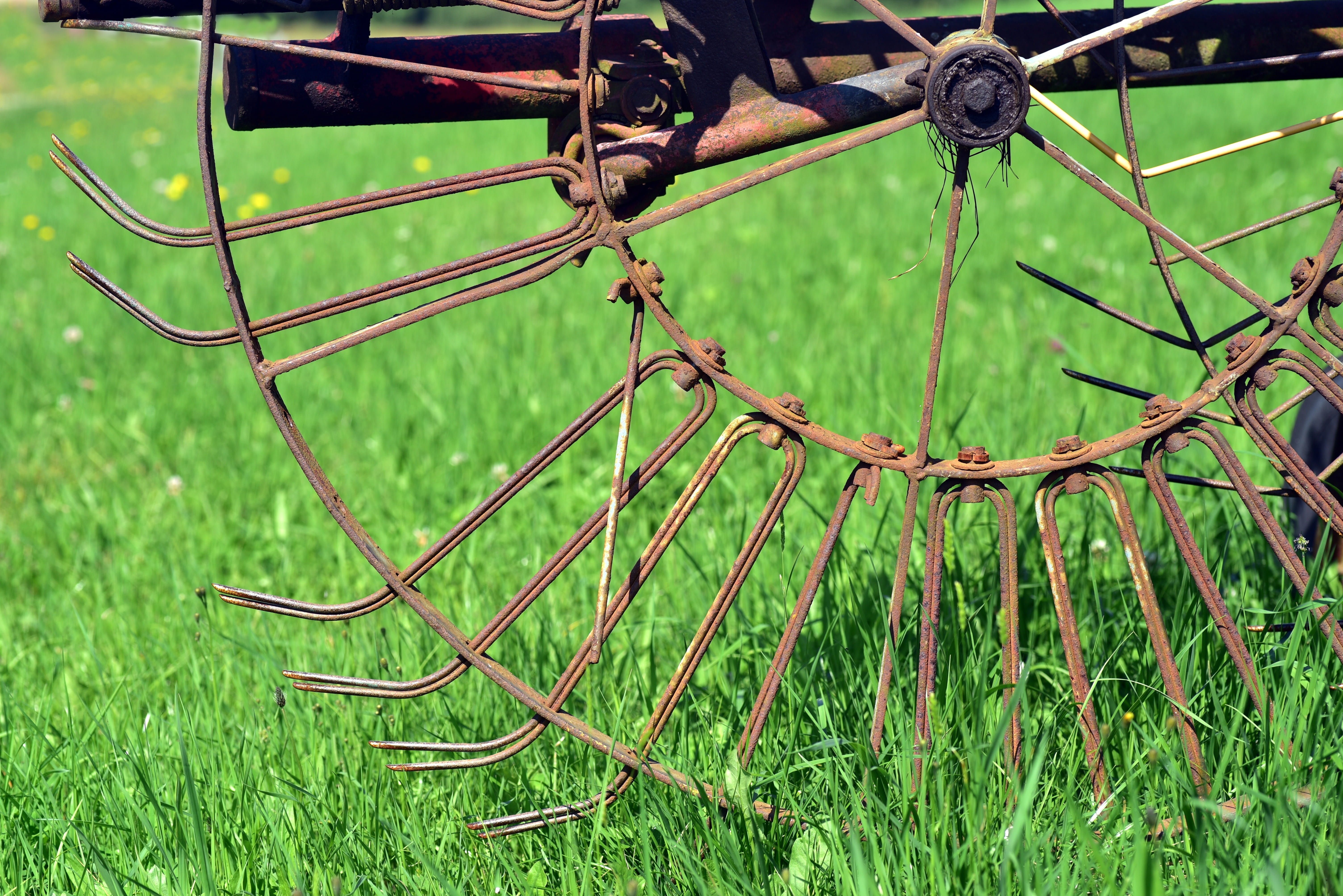 agriculture, metal, outdoors, outdoor play equipment, rust, rope, no people, focus on foreground, hay tedders, close-up, faceplate, transportation, pasture, HD Wallpaper