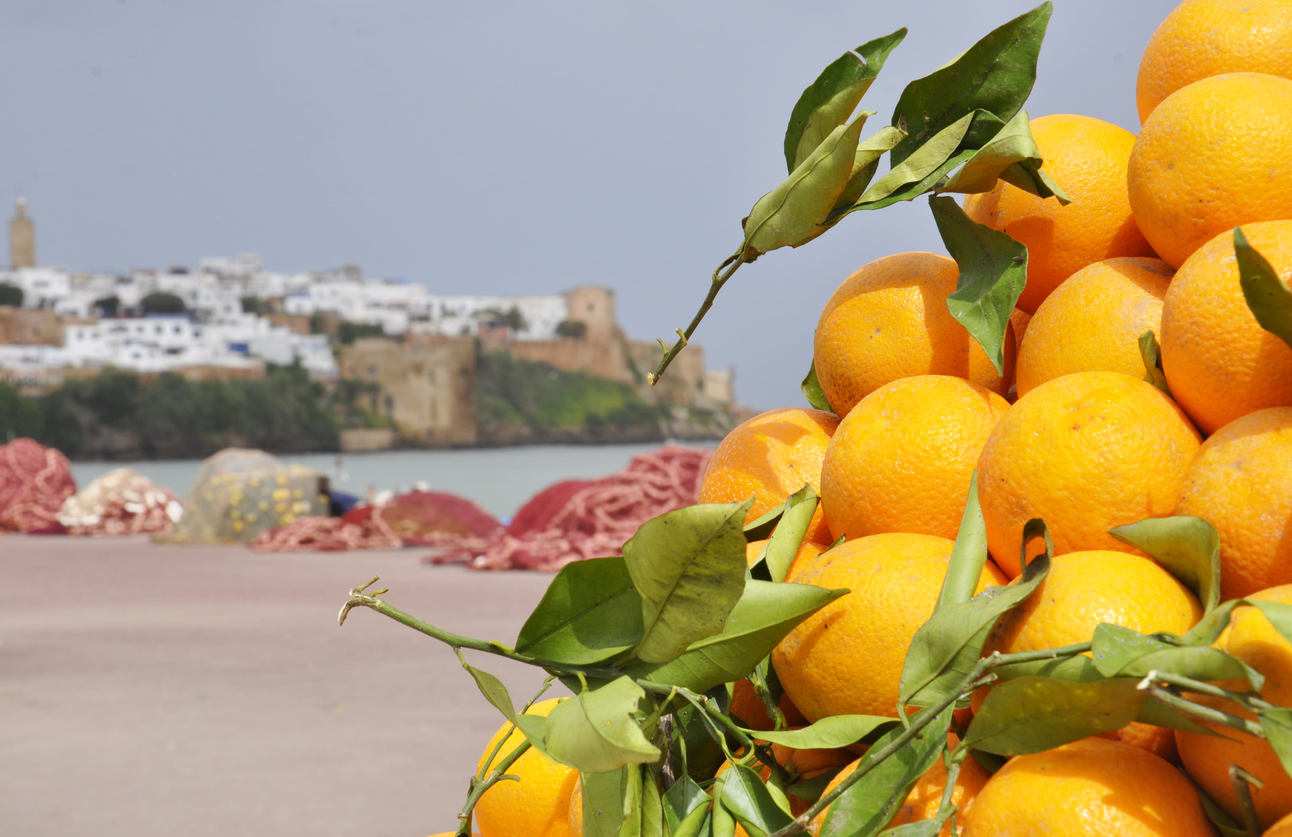 healthy eating, wellbeing, fruit, food and drink, light, citrus fruit, freshness, nature, flower, built structure, coast, orange - fruit, morocco, market, HD Wallpaper