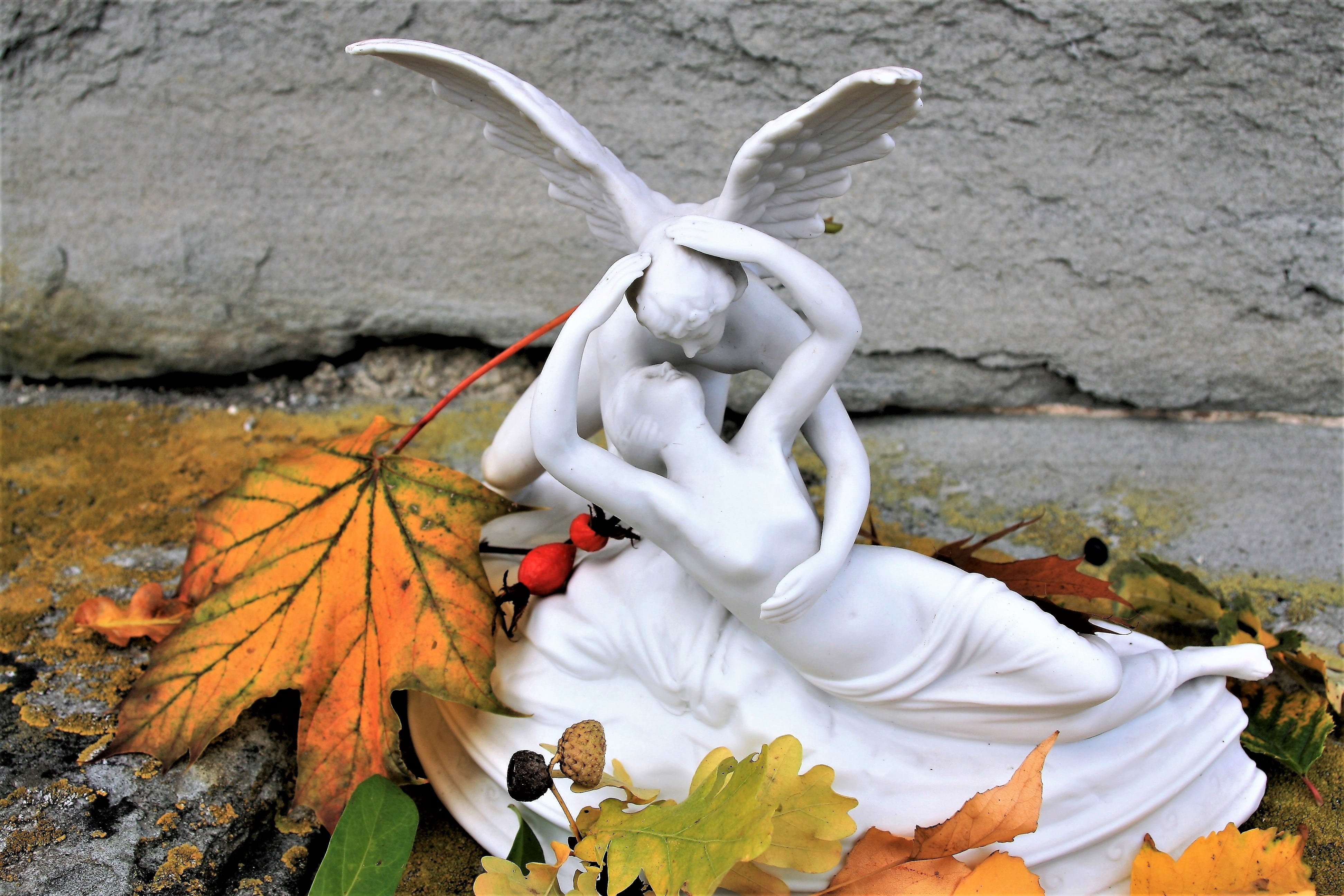 metal, plant part, nature, leaf, representation, focus on foreground, the figurine, day, wall - building feature, rock, autumn, plant, white color, sculpture, HD Wallpaper