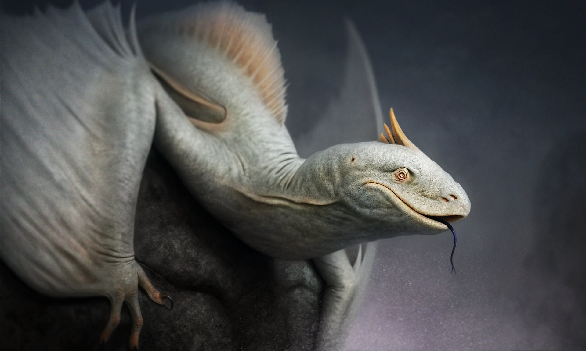 Alabaster, fantasy, art, 1080P, Roberto Padula, lizard, HD Wallpaper