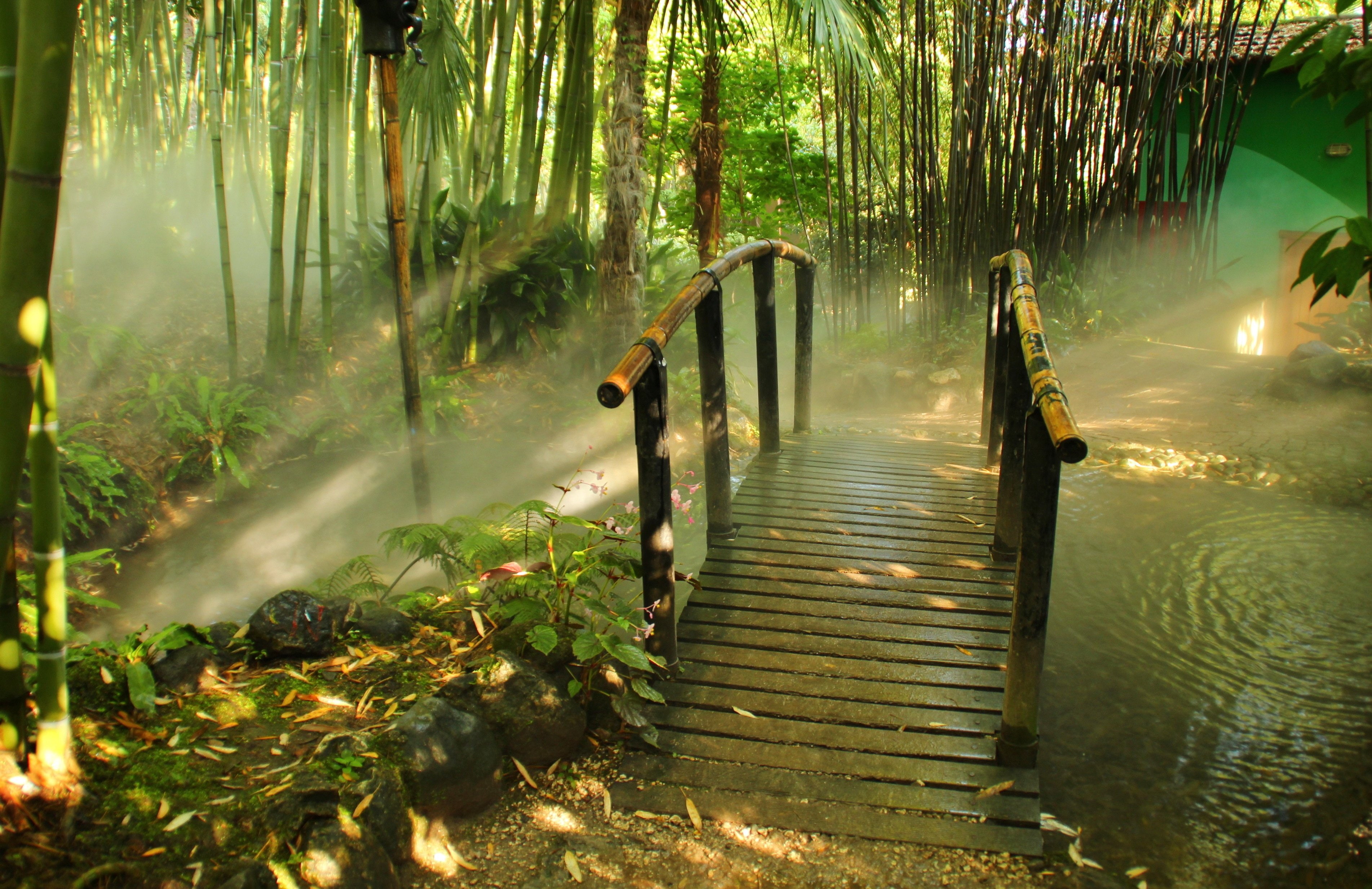 lombardia, italy, 2K, park, bridge, bamboo, HD Wallpaper