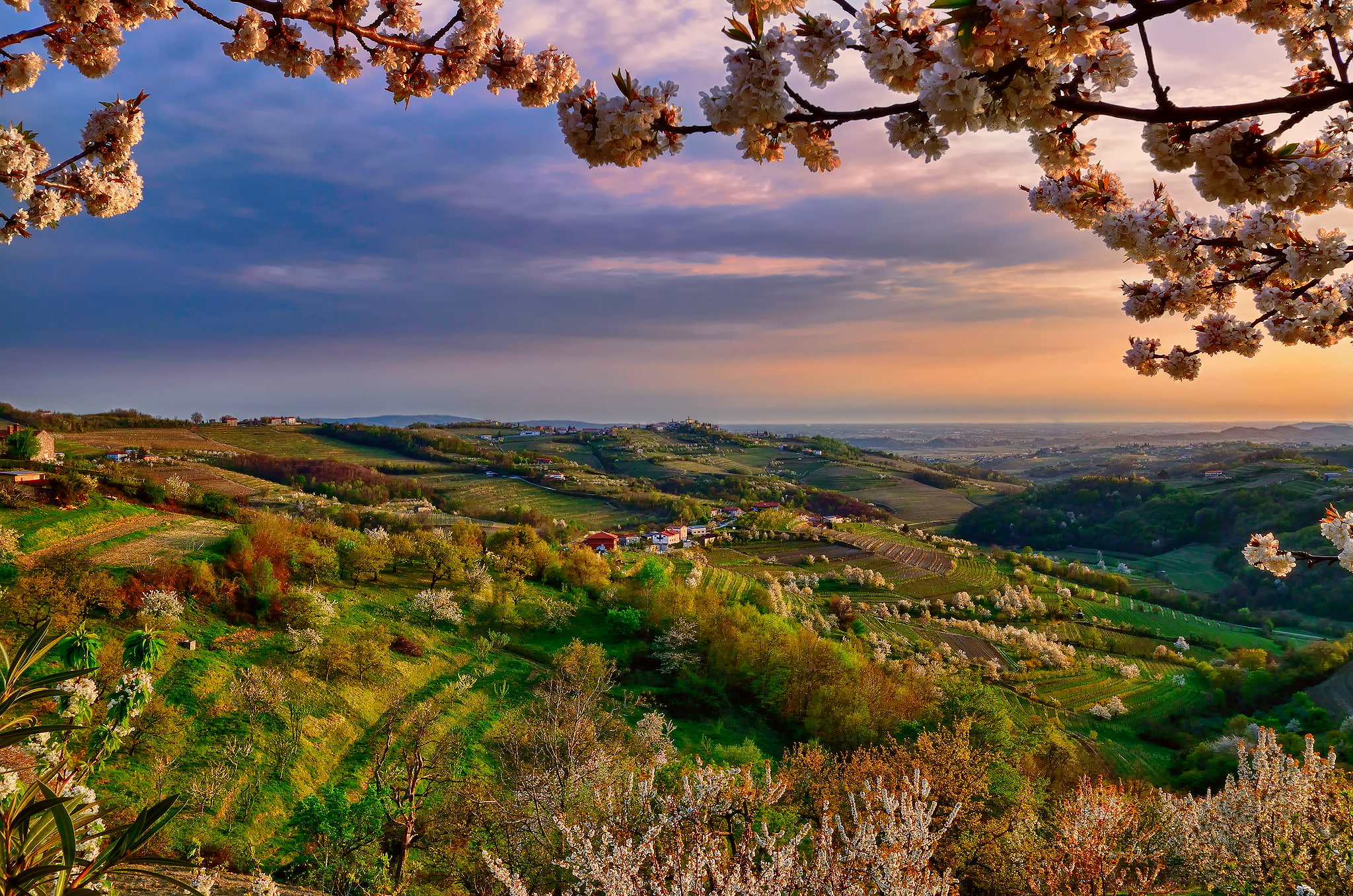 collio, valley, 1080P, branch, color, april, lombardy, taly, evening, spring, HD Wallpaper