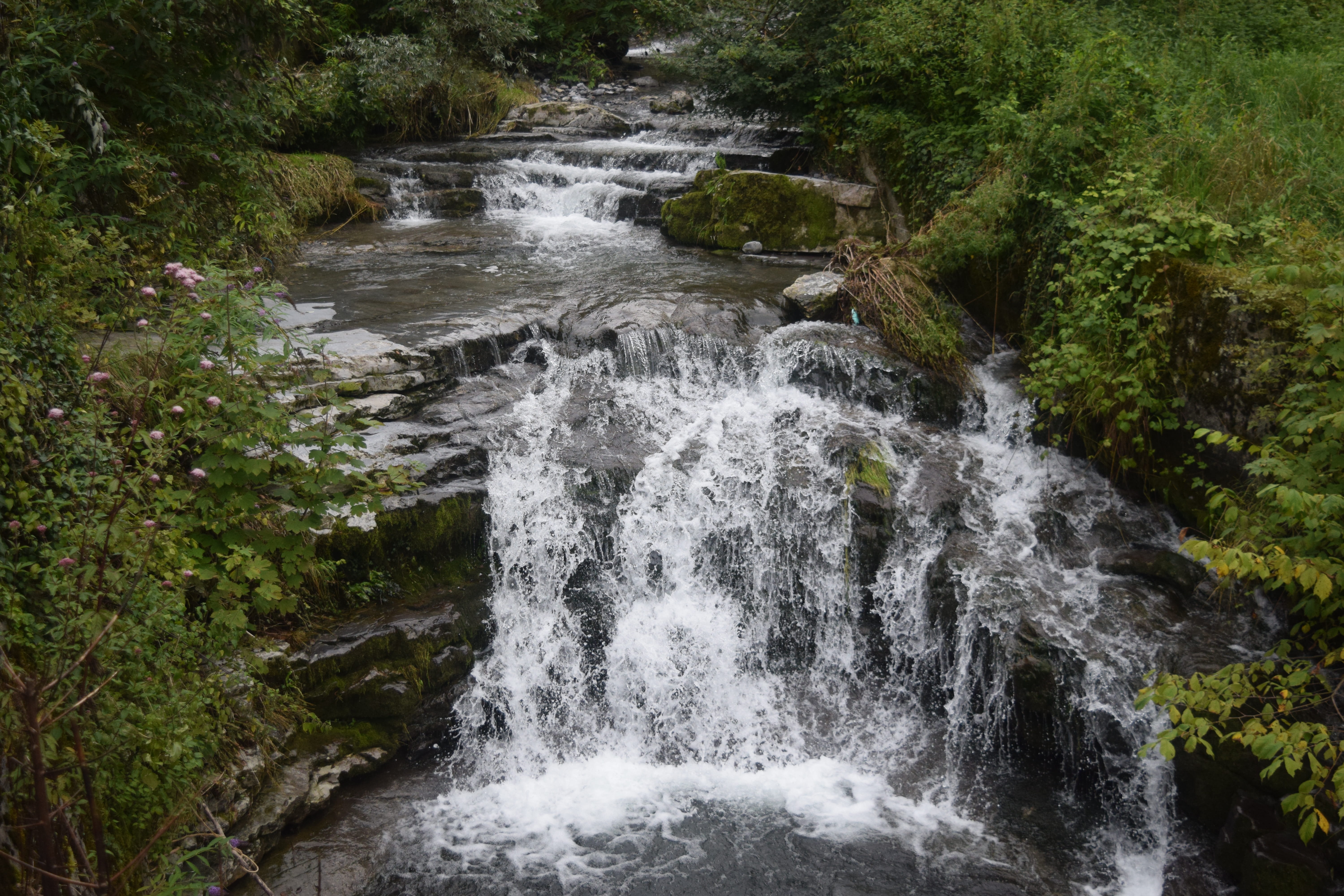 nature, scenics, flowing water, Italy, outdoors, blurred motion, no people, tree, rock, scenics - nature, long exposure, 5K, rock - object, forest, growth, HD Wallpaper