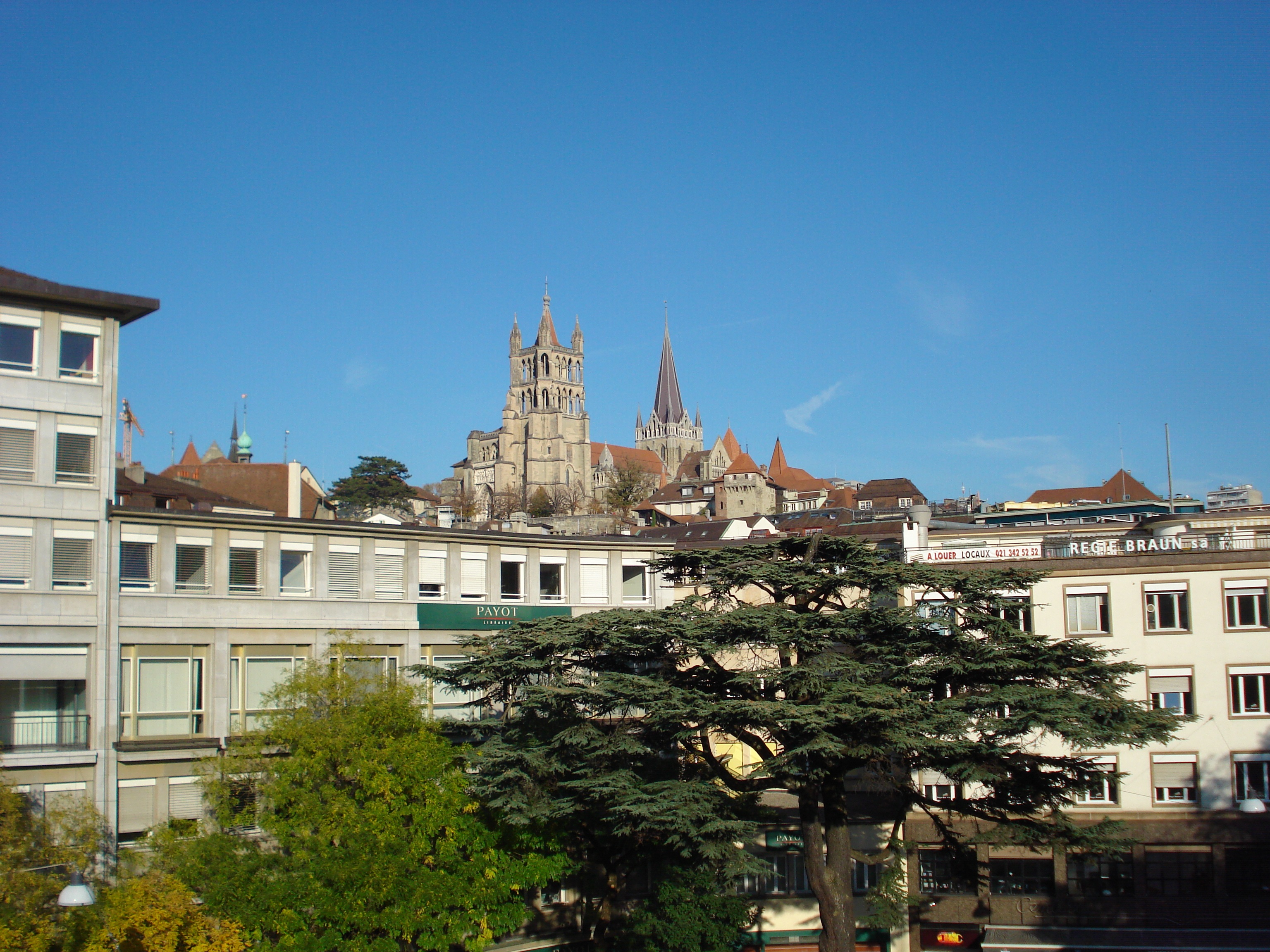 travel destinations, low angle view, spirituality, plant, outdoors, building exterior, cathedral, built structure, switzerland, clear sky, religion, spire, HD Wallpaper