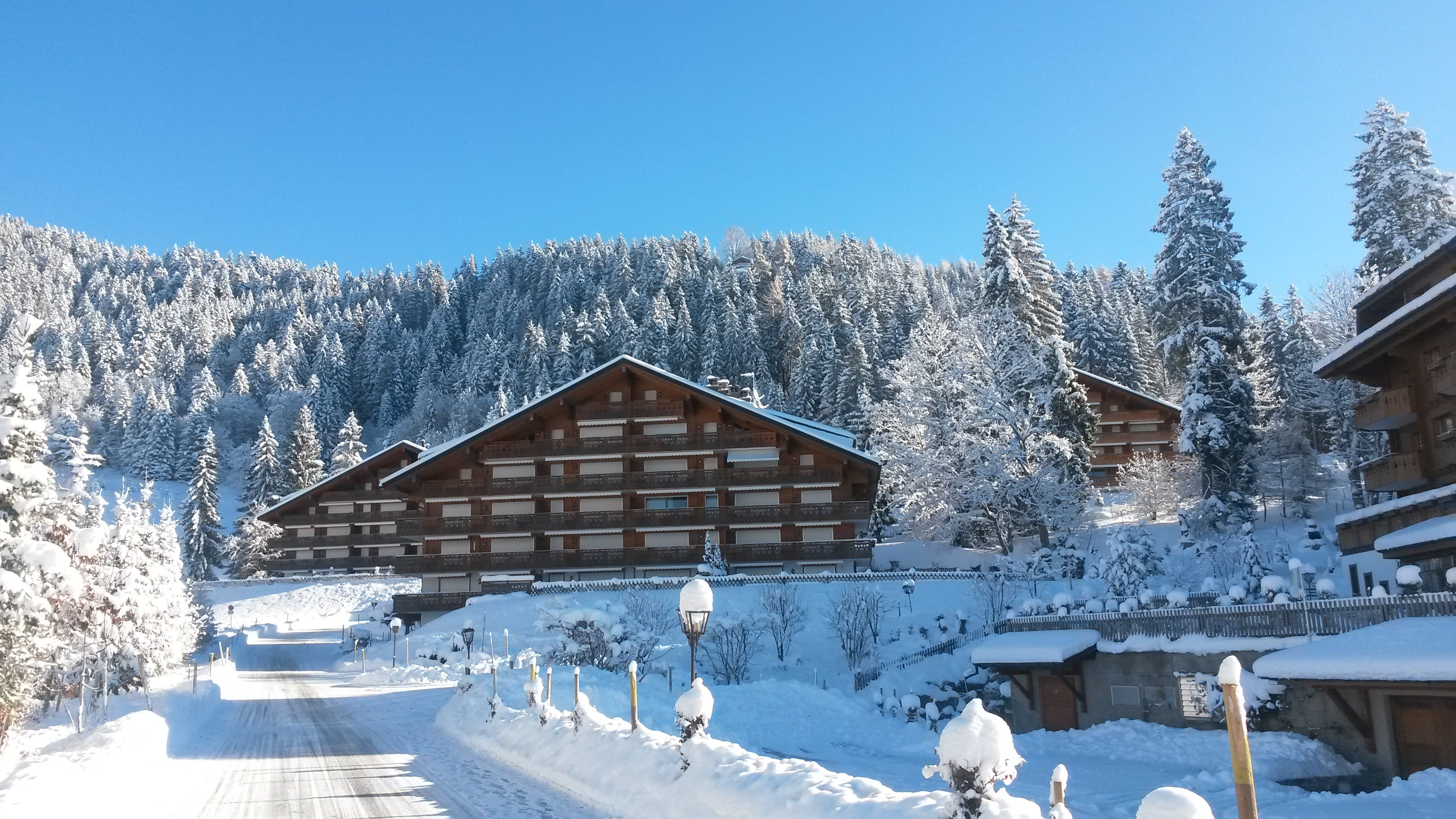 vaud, villars-on-ollon, pine tree, switzerland, architecture, outdoors, snow, sky, building, sunlight, snowcapped mountain, cold temperature, hut, cottage, HD Wallpaper