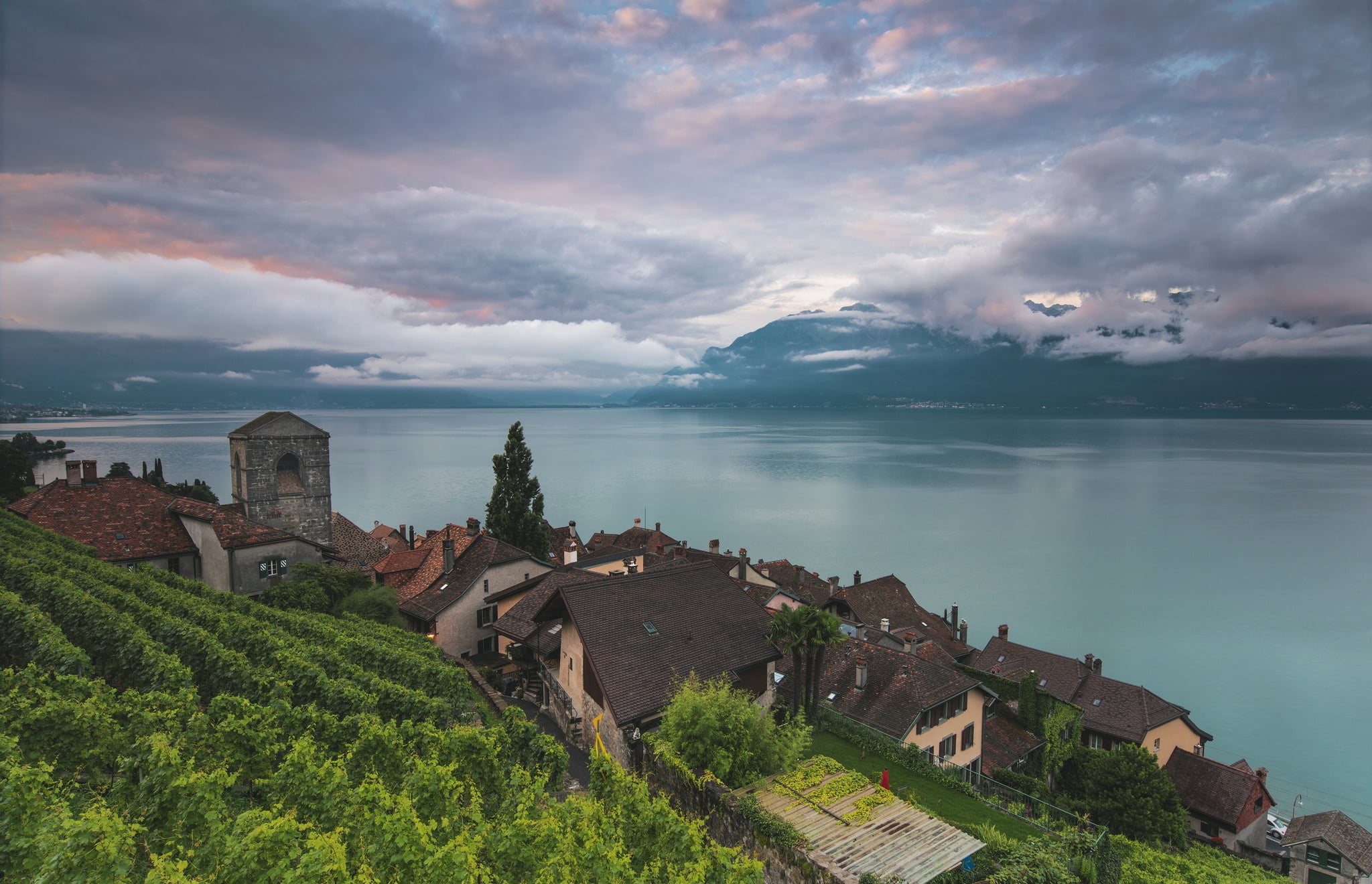Saint-Saphorin, Vaud, Lake Geneva, Switzerland, lake, 1080P, HD Wallpaper