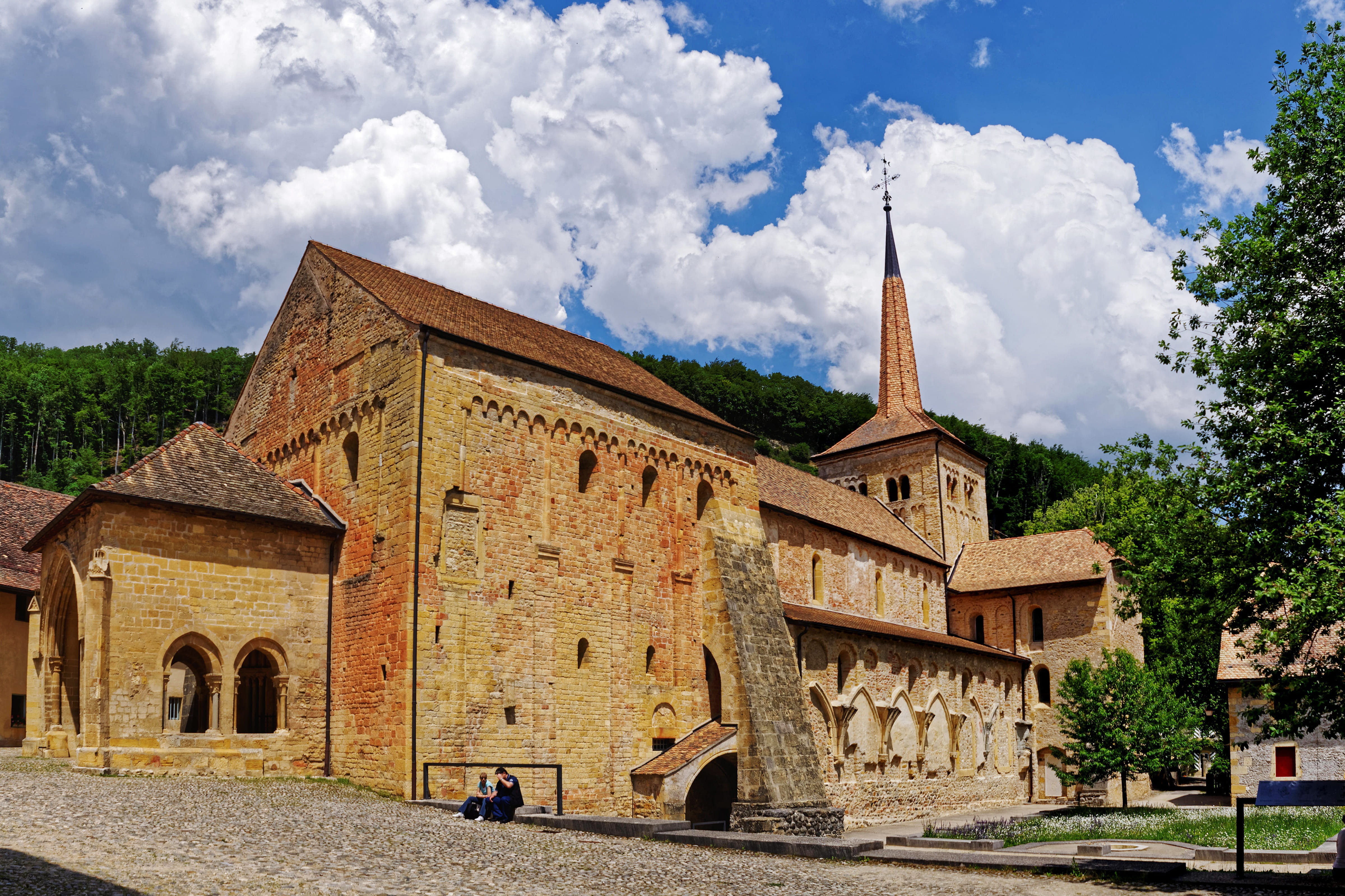 belief, plant, rhaeto romanic, old, church, spirituality, tree, vaud, the past, place of worship, religion, romainmotier, building exterior, building, architecture, HD Wallpaper