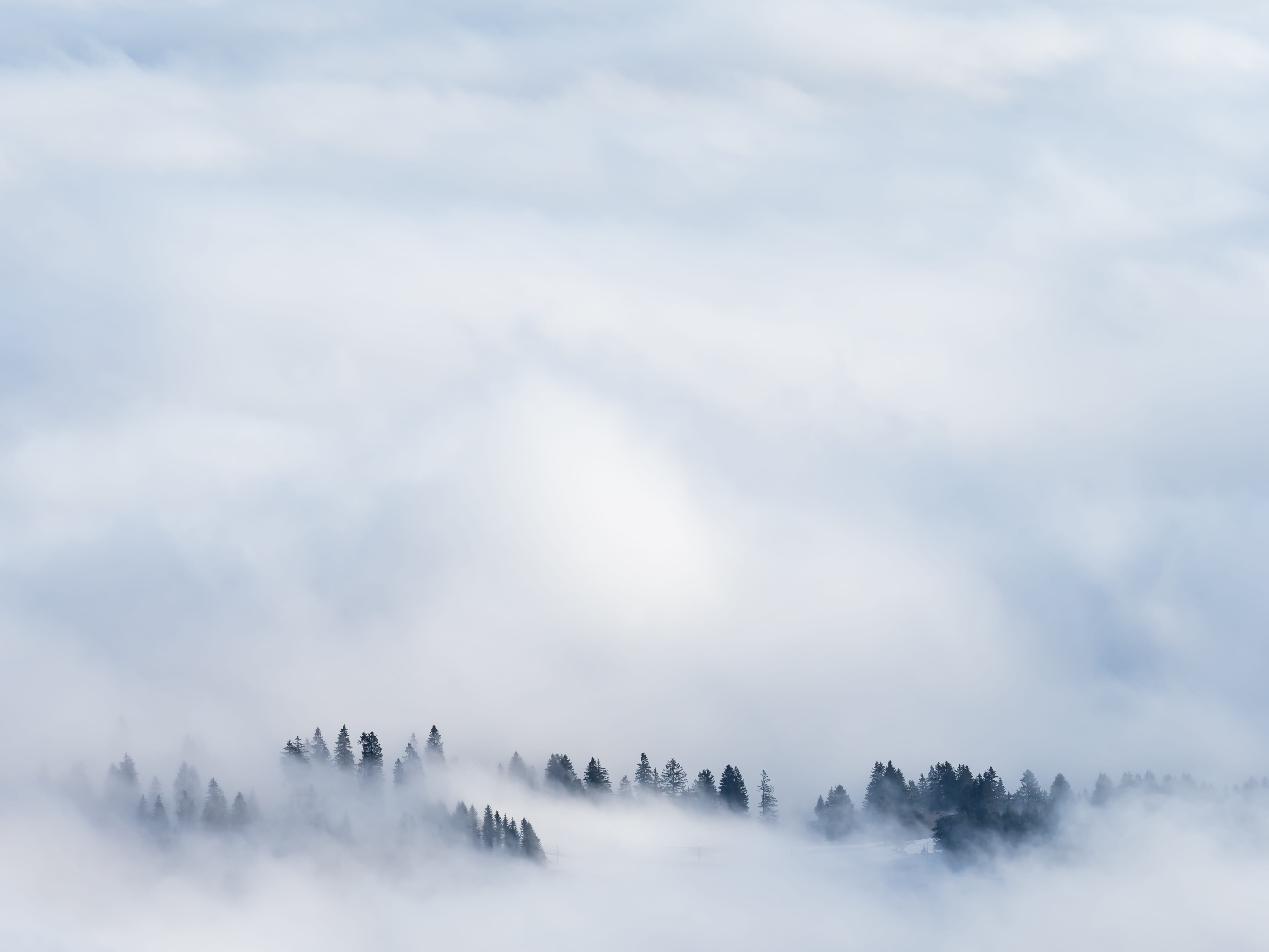 green, winter, day, idyllic, scenics - nature, nature, hazy, non-urban scene, covered, jura, clouds, environment, snow, tree, trees, daytime, tranquility, HD Wallpaper