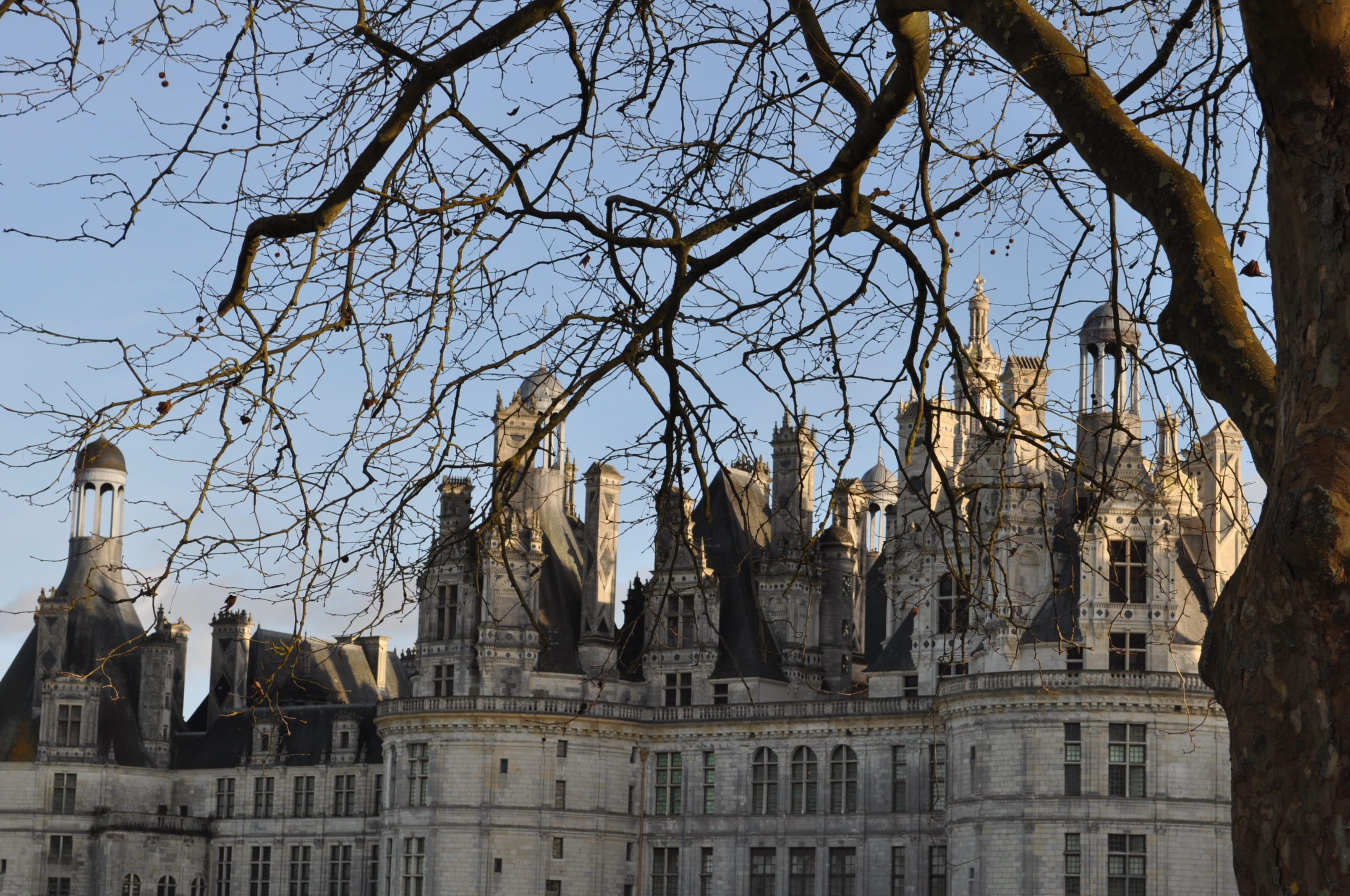 loire valley, roof, building, day, outdoors, low angle view, sky, representation, no people, built structure, royal castle, travel destinations, 2K, human representation, HD Wallpaper