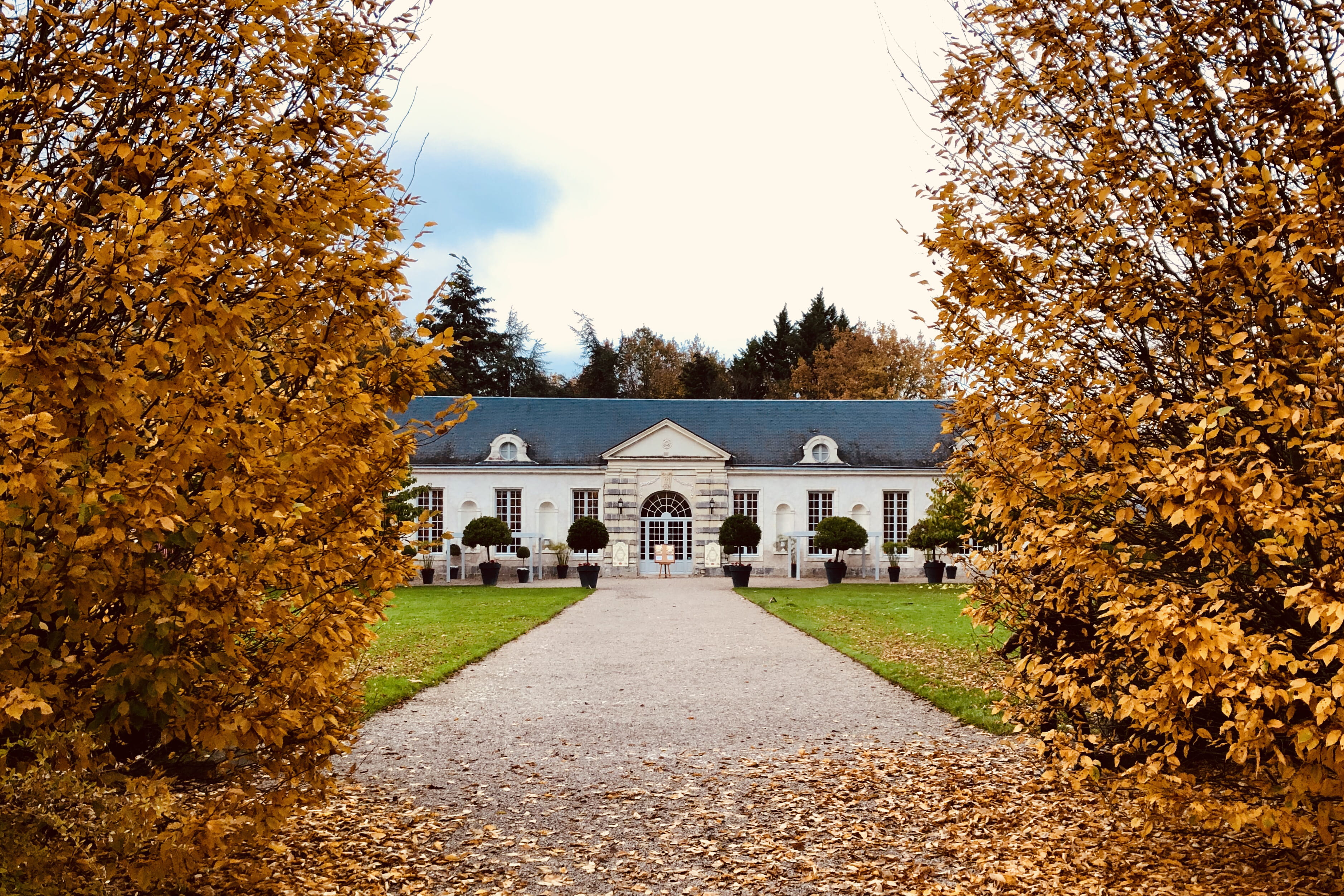 fir, plant part, building exterior, trees, change, ground, concrete, campus, tarmac, france, 2K, autumn, lawn, tree, outdoors, house, sky, road, loire valley, HD Wallpaper