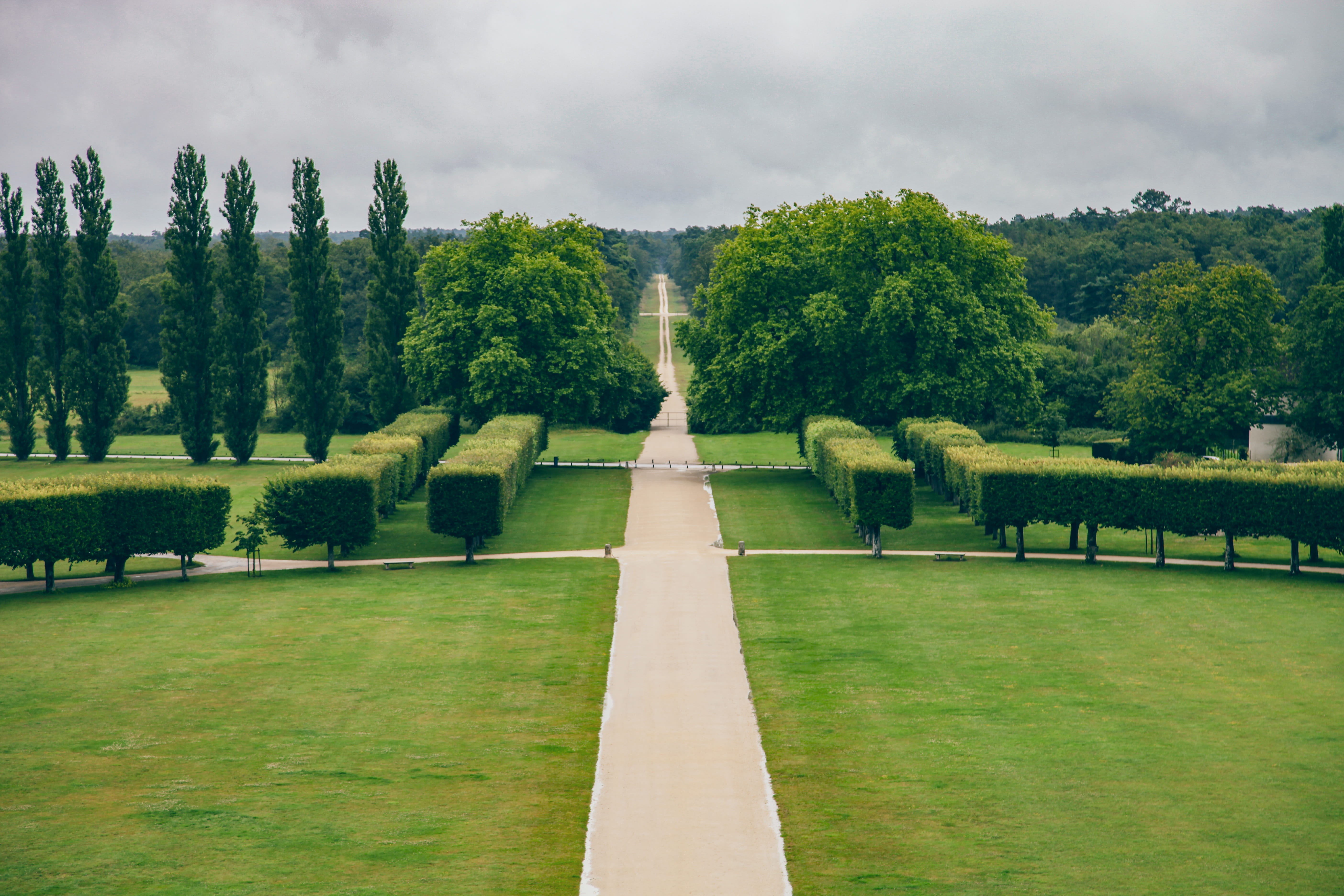 beauty in nature, avenue, driveway, formal garden, green color, direction, plant, chateau de chambord, trees, footpath, sky, nature, road, landscape, 5K, HD Wallpaper