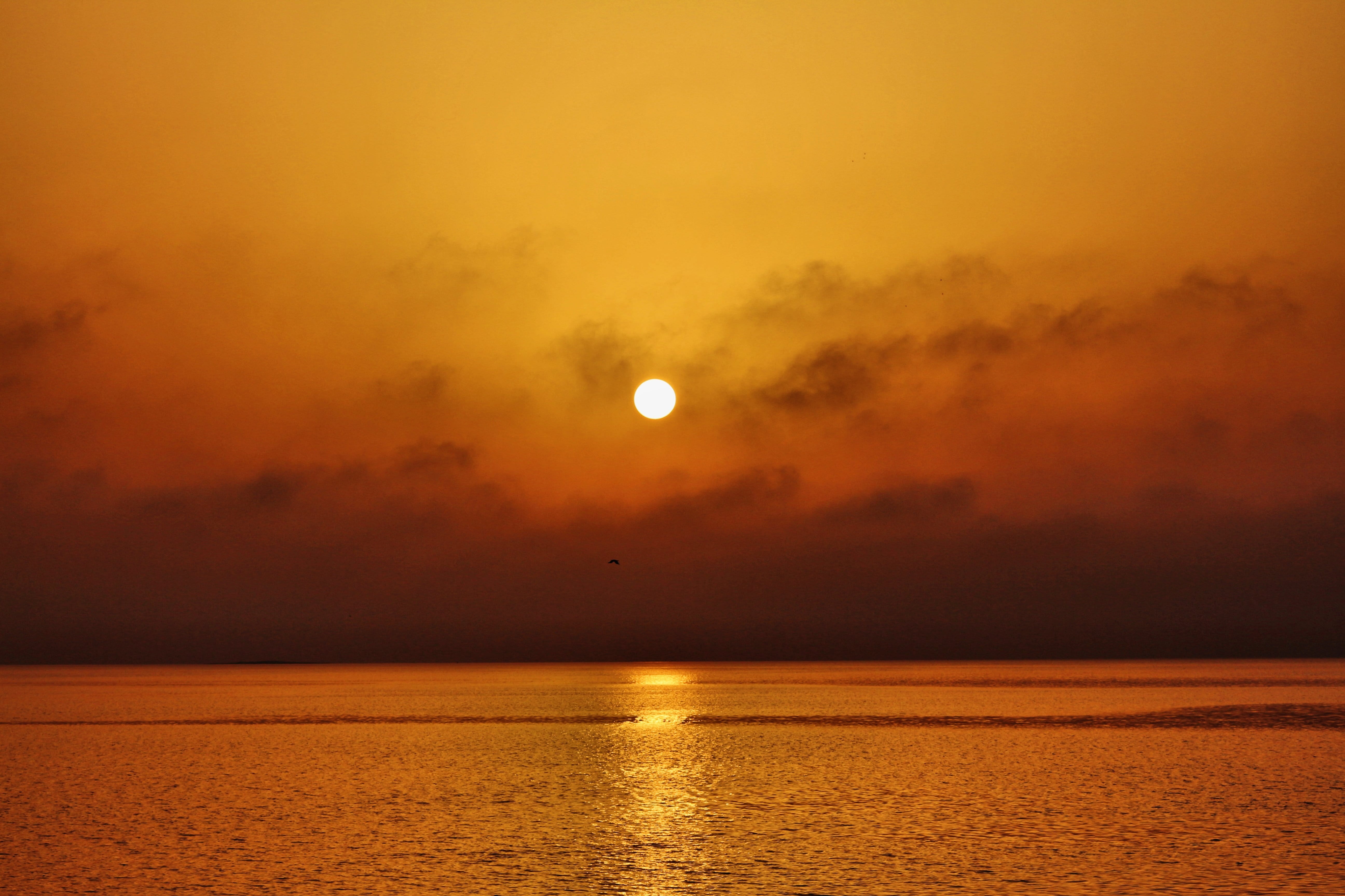 idyllic, moon, sky, sunset, sunshine, light, dusk, horizon, orange color, dramatic sky, reflection, scenics - nature, khobar, cloud - sky, golden, no people, HD Wallpaper