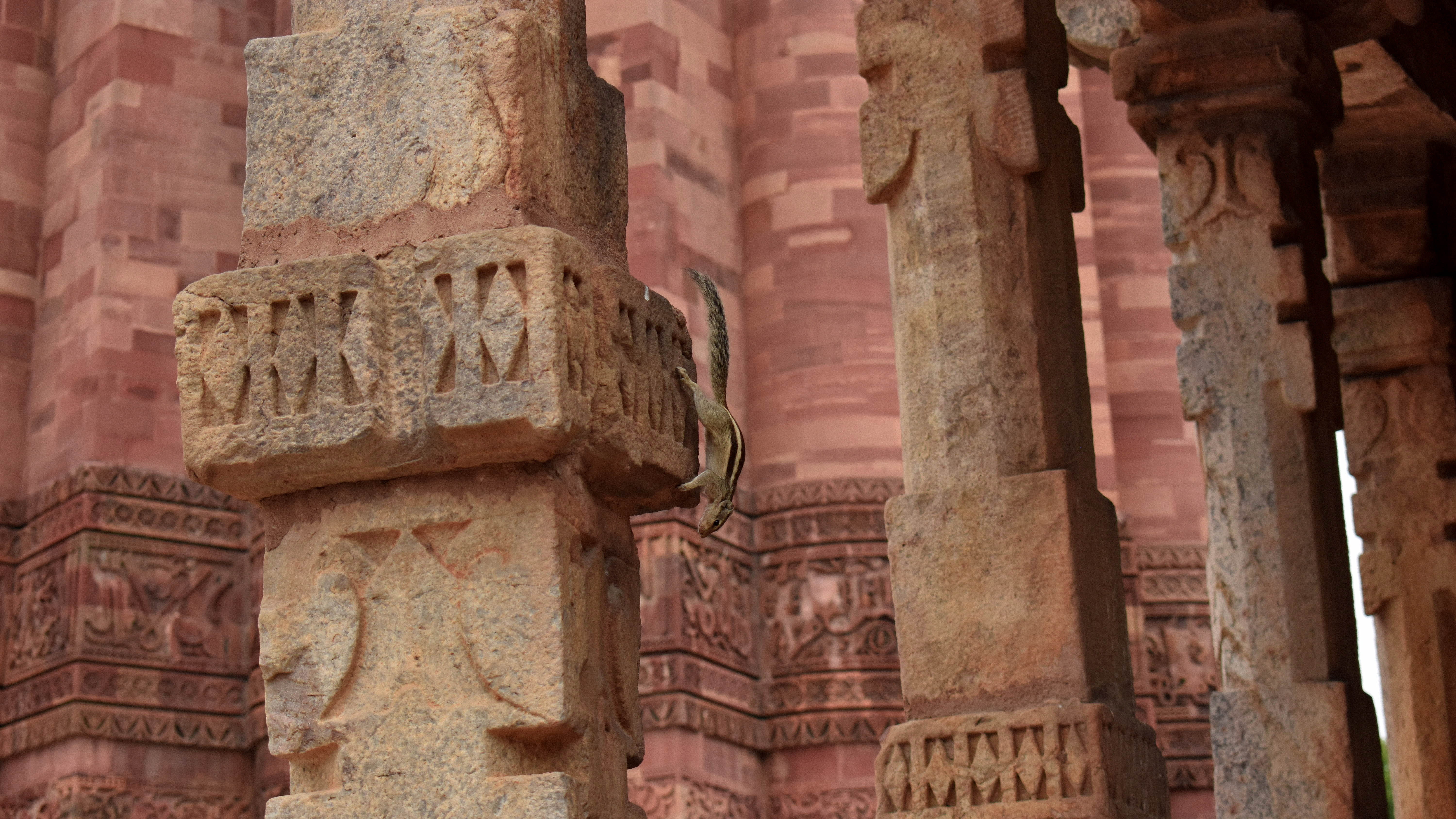 background, ruined, outdoors, art, travel, travel destinations, built structure, afternoon, monument, the past, old ruin, architectural column, squirrel, HD Wallpaper