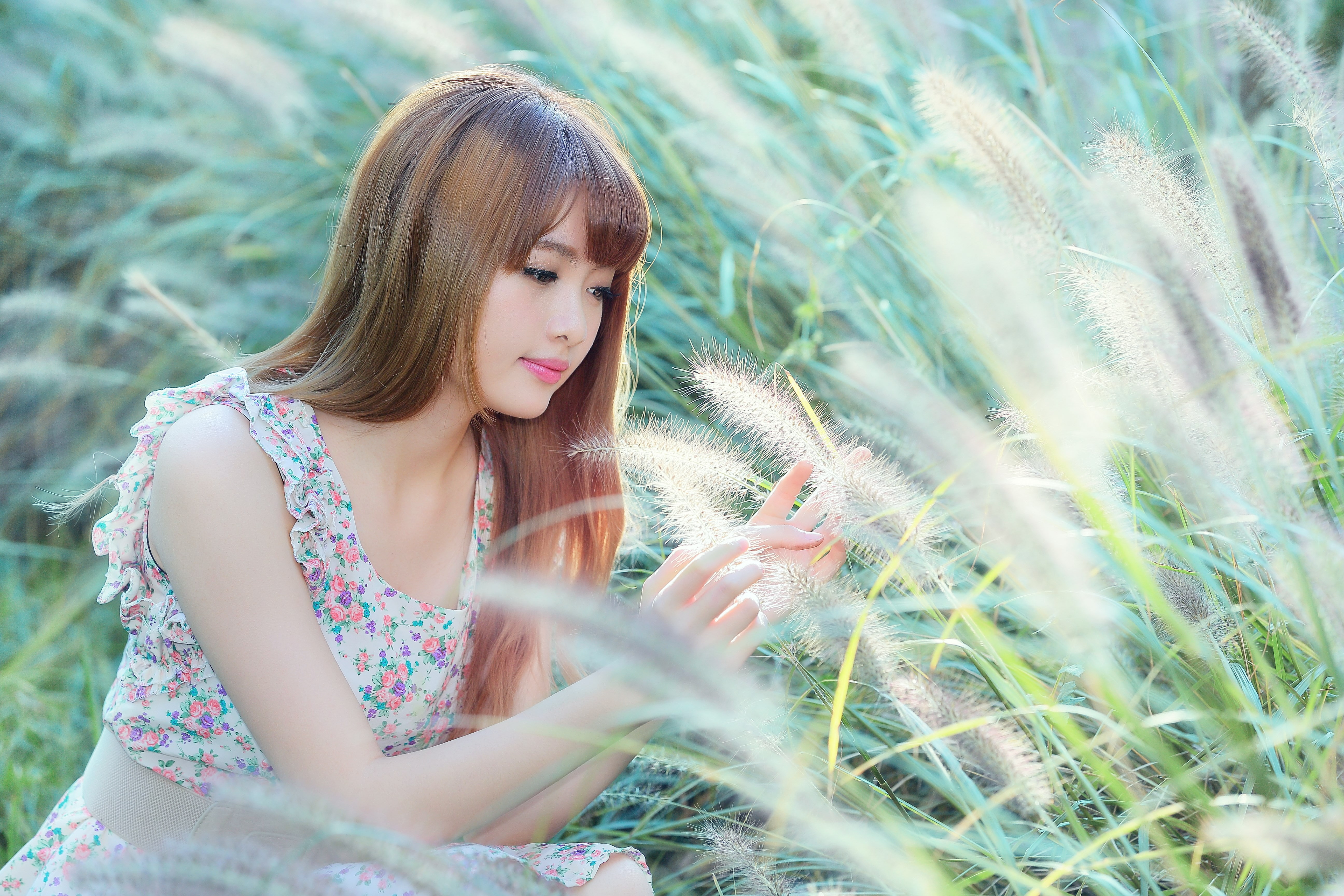 long hair, young adult, teenager, plant, outdoors, brown hair, bangs, beauty, adult, 5K, field, cubie wang, front view, hair, growth, one person, young women, HD Wallpaper