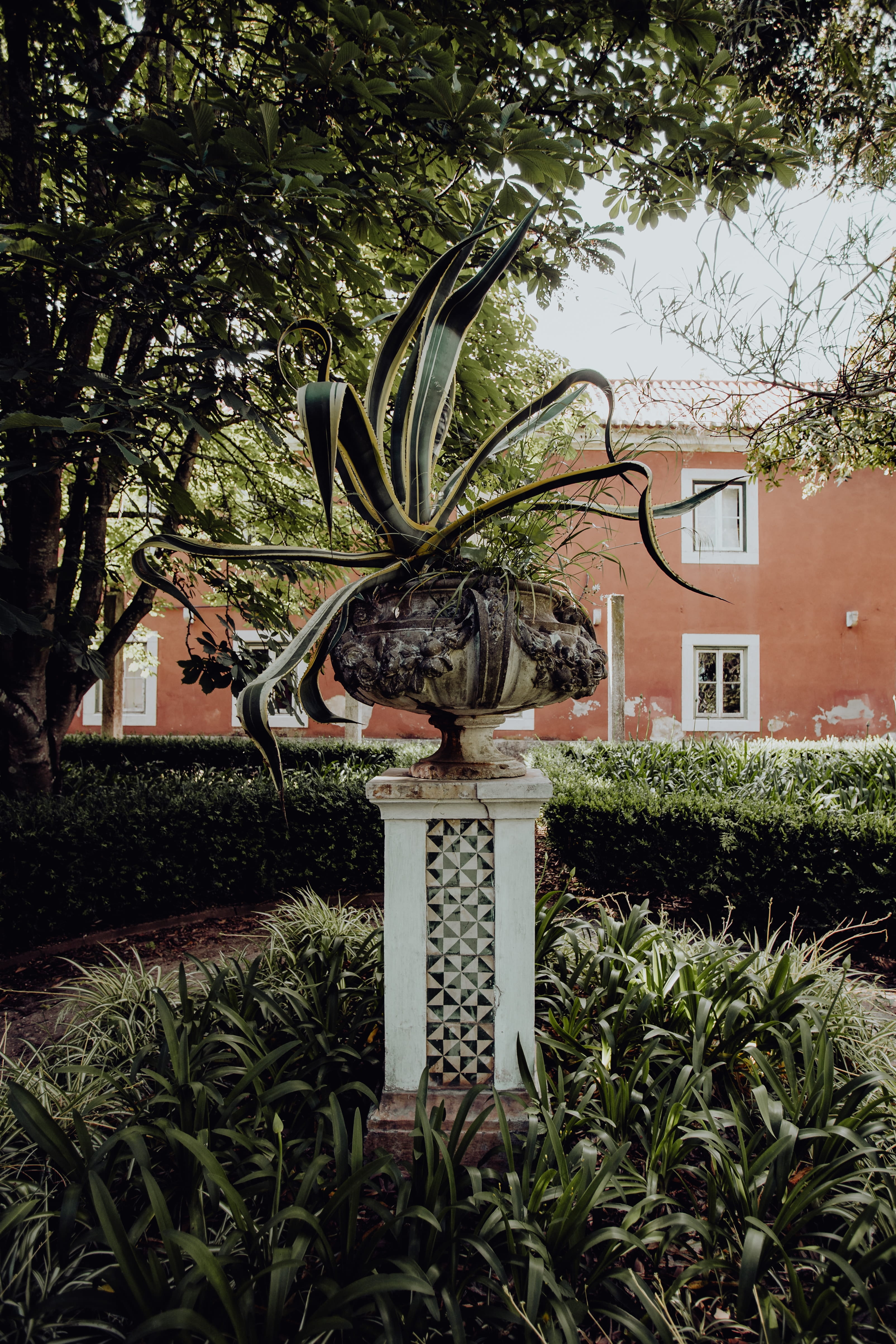 Europe, built structure, lisbon, outdoors, trees, palms, 4K, botanical, plant, residential district, growth, architecture, beauty in nature, exotic, botany, Phone HD Wallpaper
