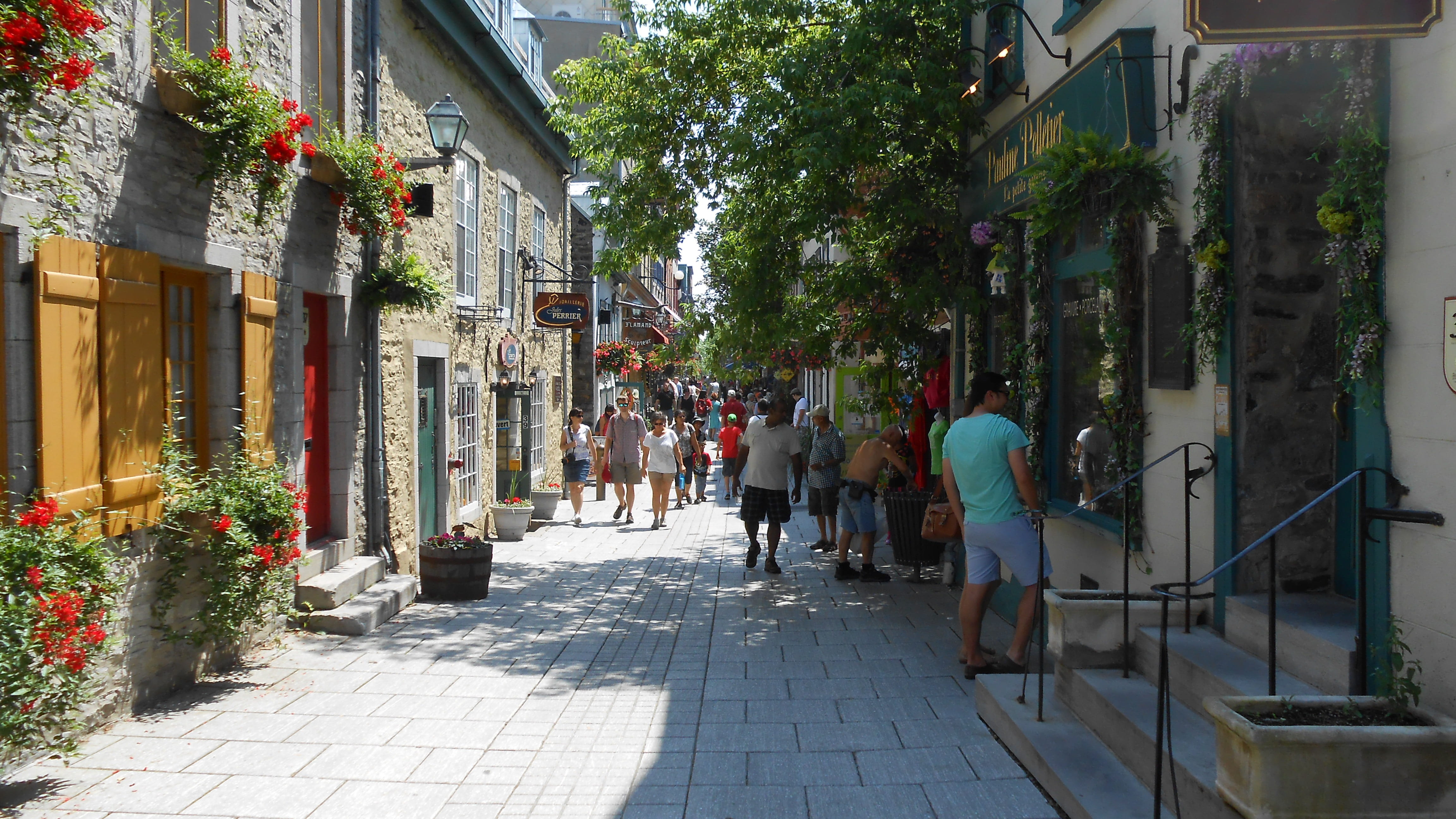 shops, the way forward, plant, outdoors, day, urban, built structure, women, shopping, real people, people, nature, walking, 4K, stores, buildings, building, HD Wallpaper