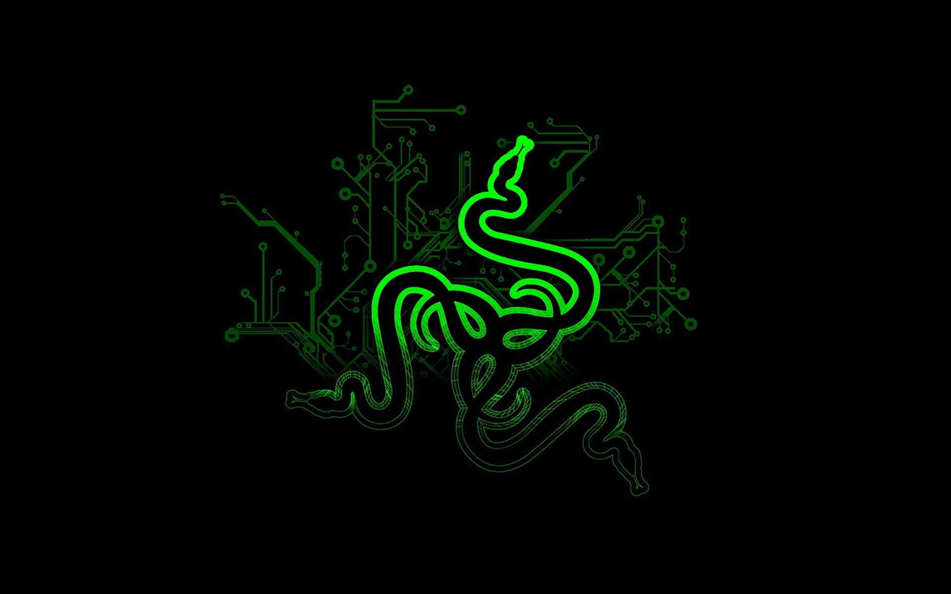 art, games, 1920x1200 px, 1080P, Razer, x, hd, video, px, tekken, HD Wallpaper