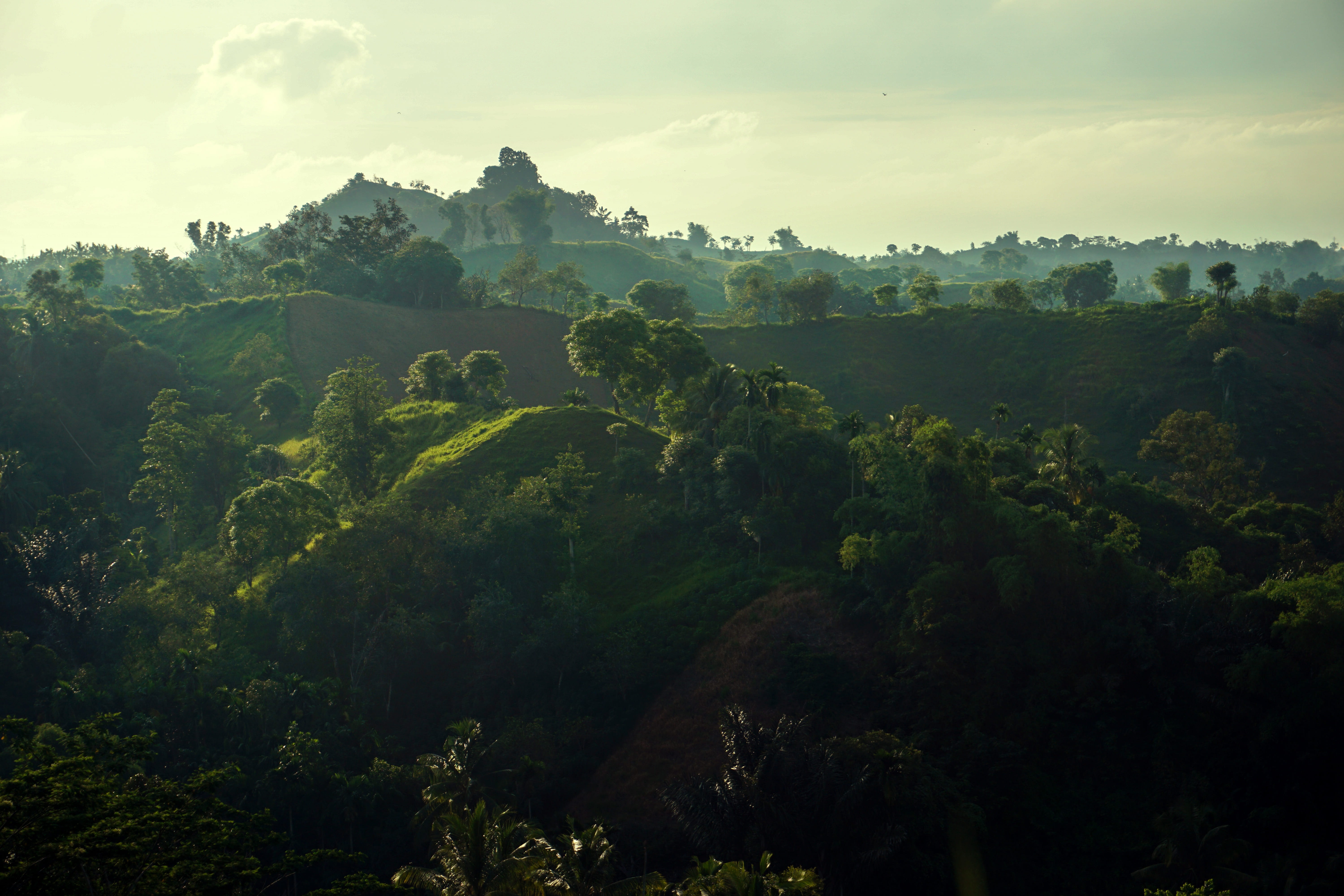 agriculture, scenics - nature, sunlight, no people, scenics, day, 5K, non-urban scene, Hill, aceh, environment, land, lhokseumawse, outdoor, Landscape, HD Wallpaper