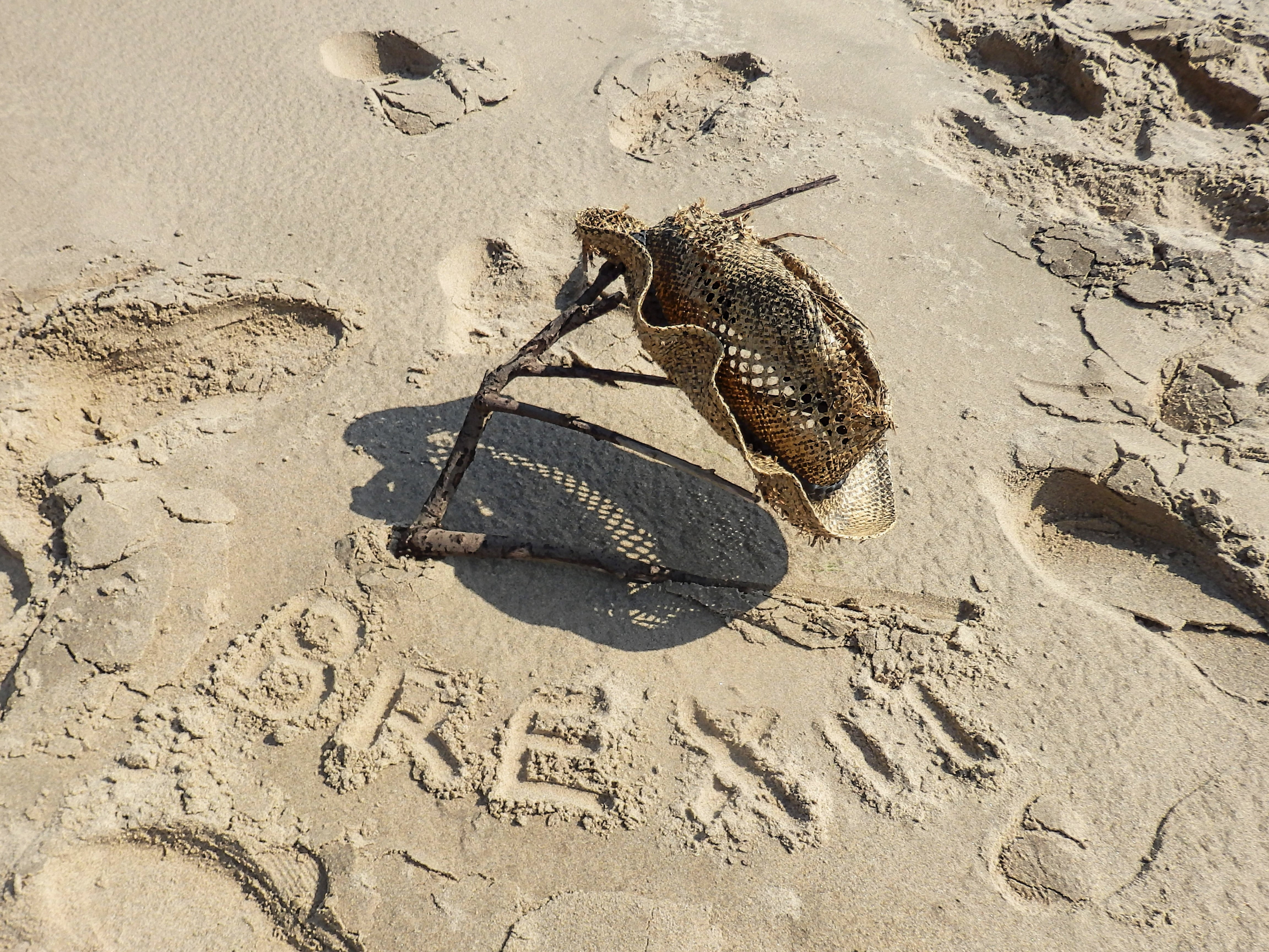 summer vacation, destination, foot, holiday, feet, hat, animal, no people, abandoned, coast, shoe, nature, writing, resort, tourism, marine, footprint, HD Wallpaper