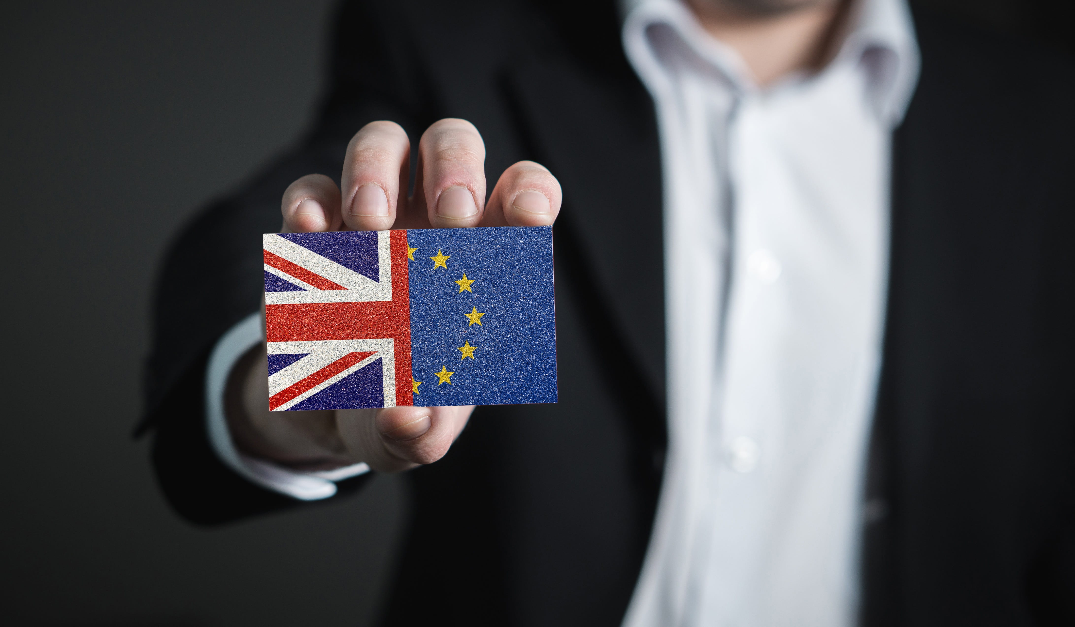 flag, brexit, communication, patriotism, midsection, close-up, politics, human hand, pride, britain, holding, european, front view, standing, one person, HD Wallpaper