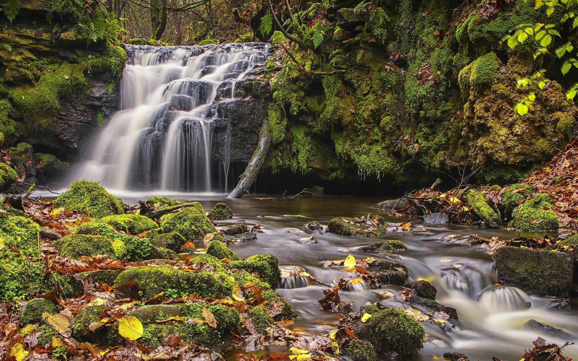 Todmorden, Yorkshire, Waterfall, West, Autumn, Moss, Leaves, England, 1080P, HD Wallpaper
