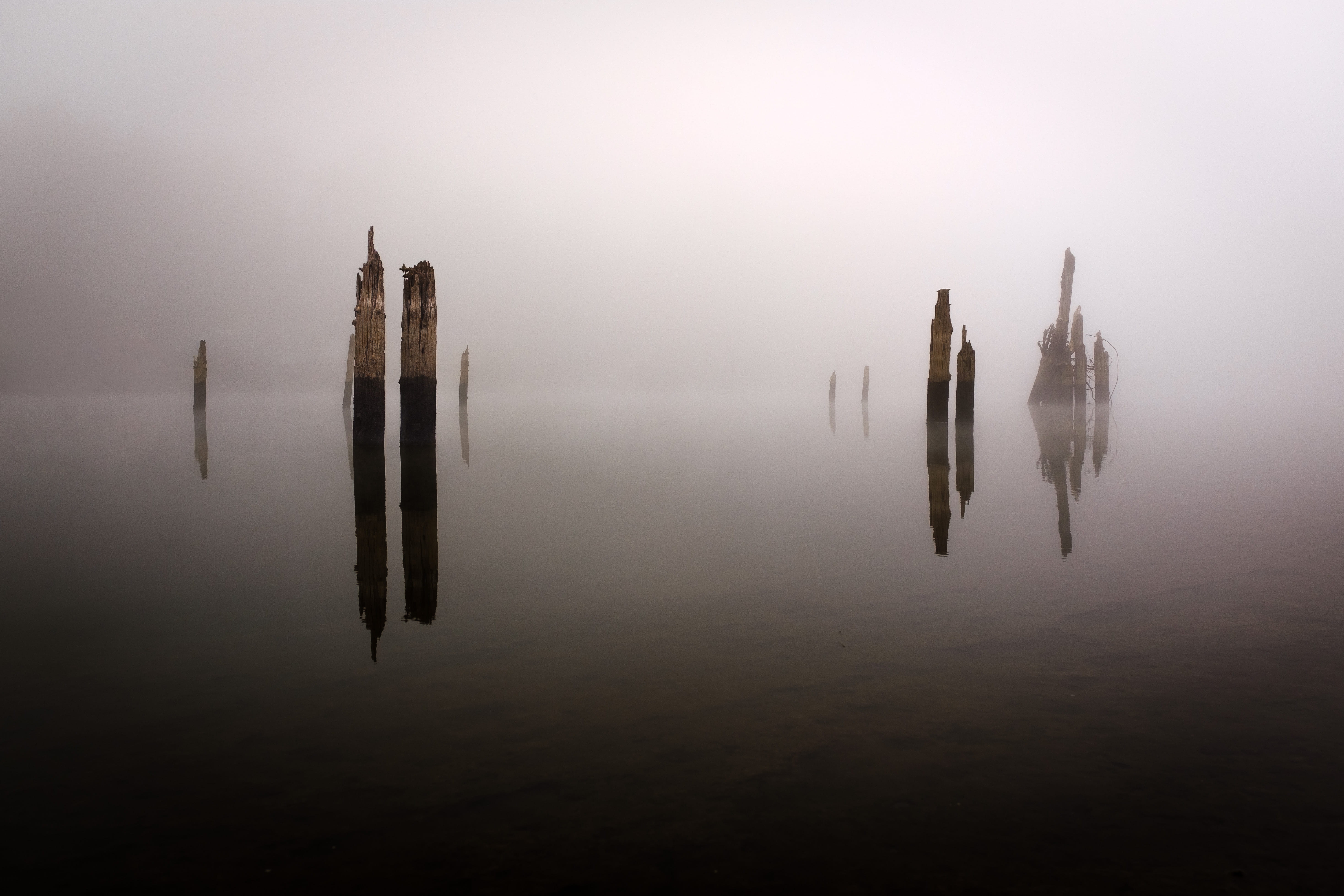 long exposure, mist, no people, fall, non-urban scene, beauty in nature, tree, 5K, tranquil scene, eerie, nature, eery, panoramic, waterfront, HD Wallpaper
