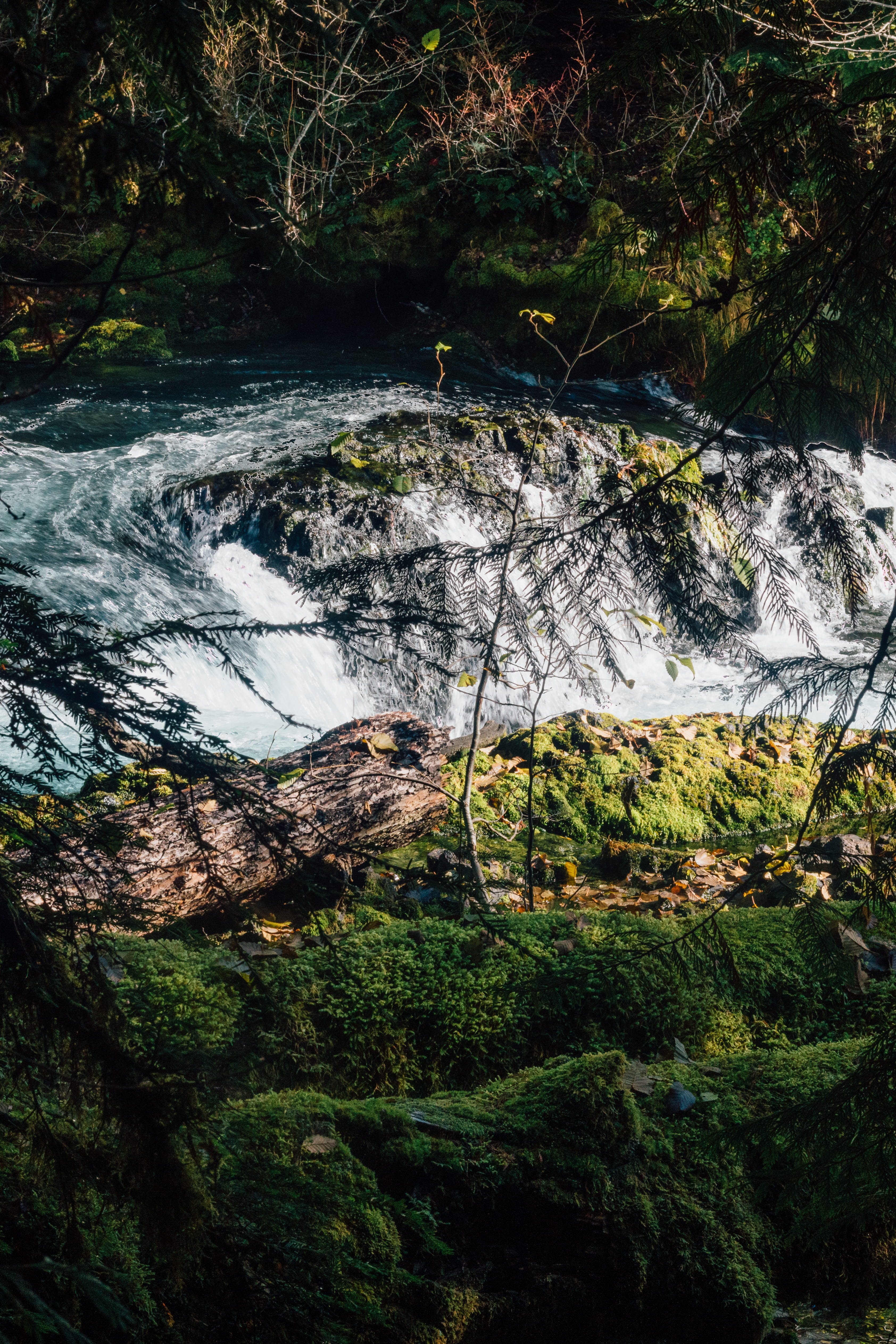 creek, no people, day, willamette national forest, long exposure, green, river, flowing, land, scenics - nature, solid, rock - object, trees, flowing water, Phone HD Wallpaper