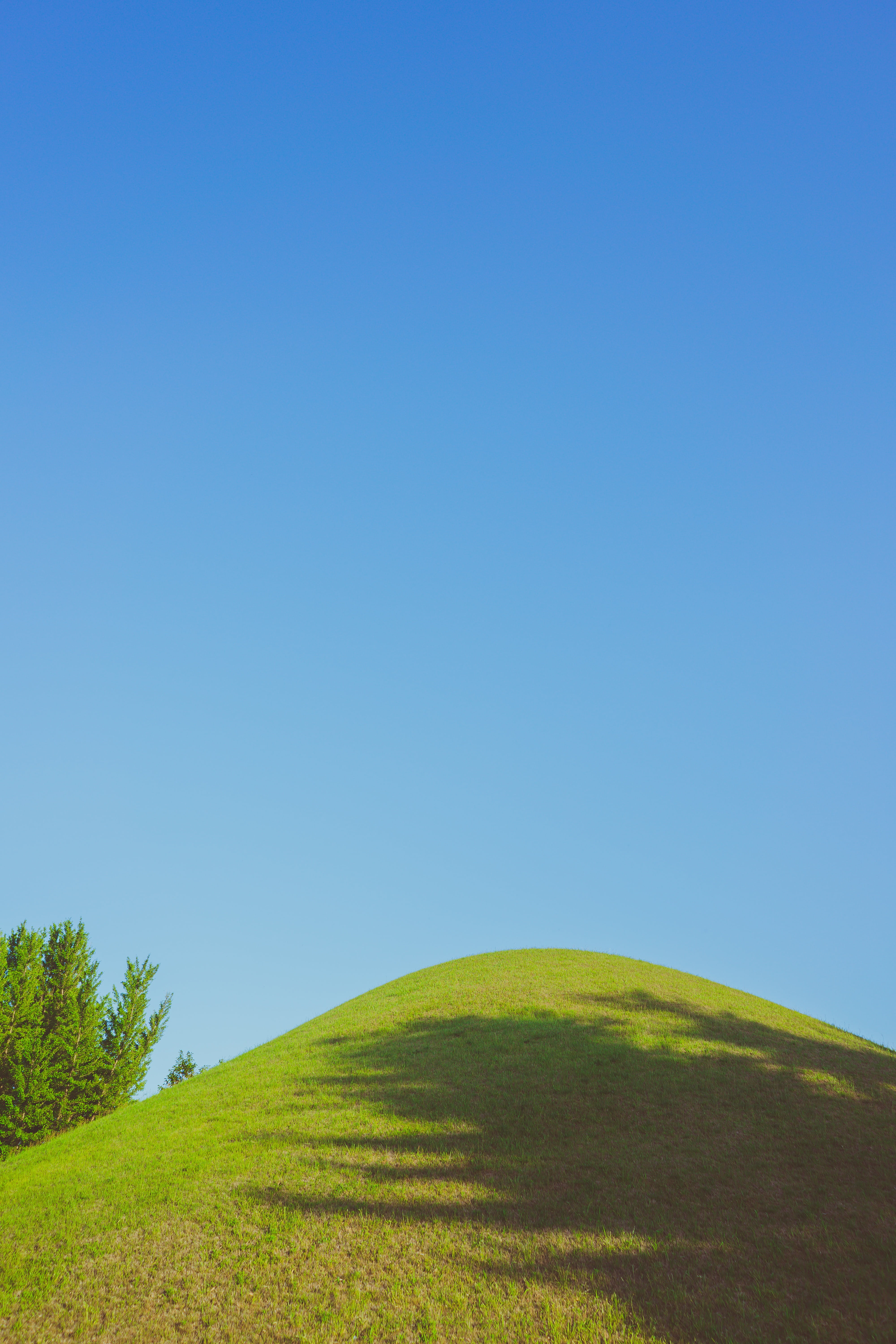 gyeongju, plant, outdoors, 5K, clear sky, korea, daereungwon, nature, grass, environment, no people, blue, rolling landscape, field, day, sky, landscape, Phone HD Wallpaper