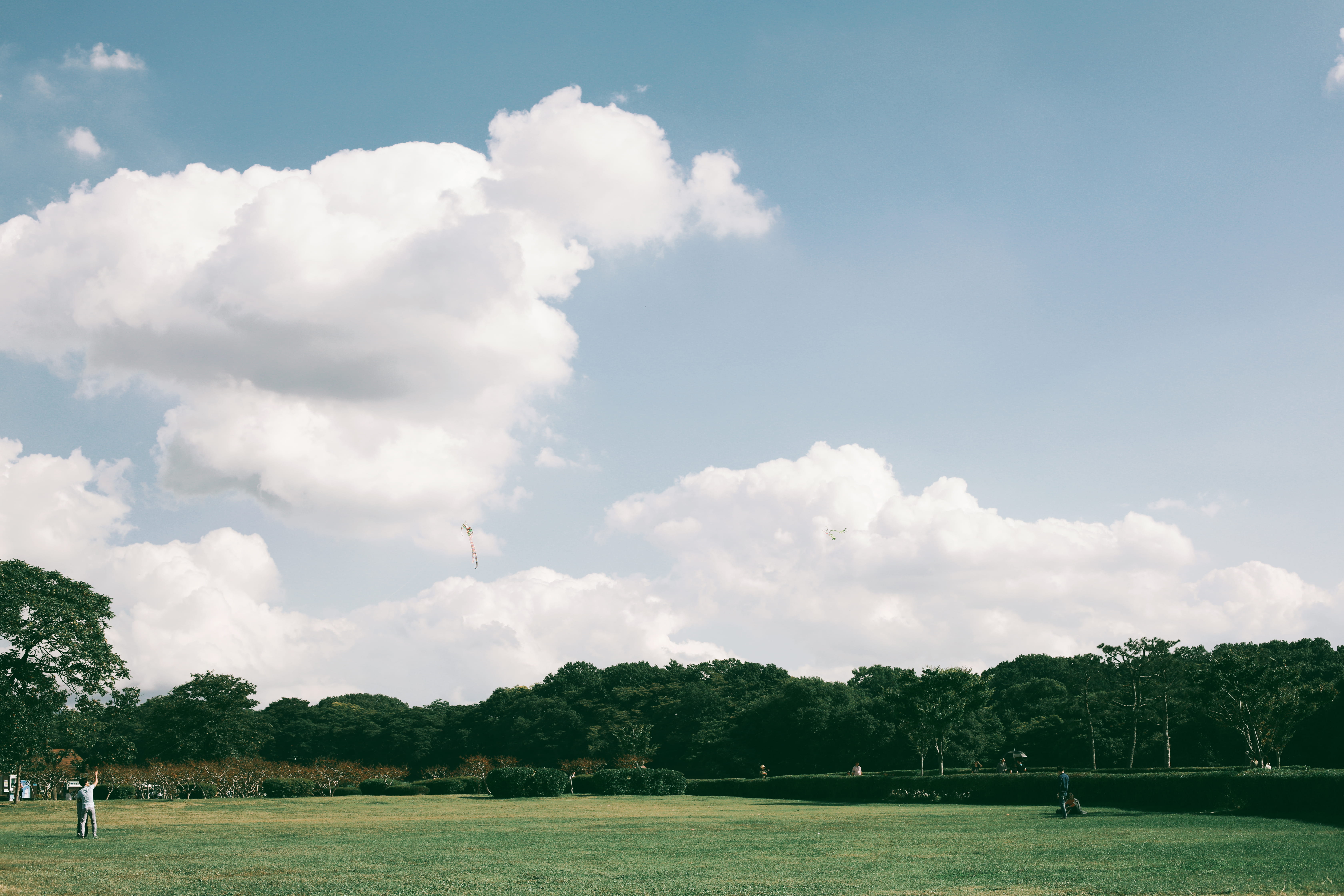 land, cloud - sky, real people, day, scenics - nature, outdoors, lake, 5K, men, beauty in nature, water, tree, tranquility, gyeongju, nature, sky, trees, HD Wallpaper
