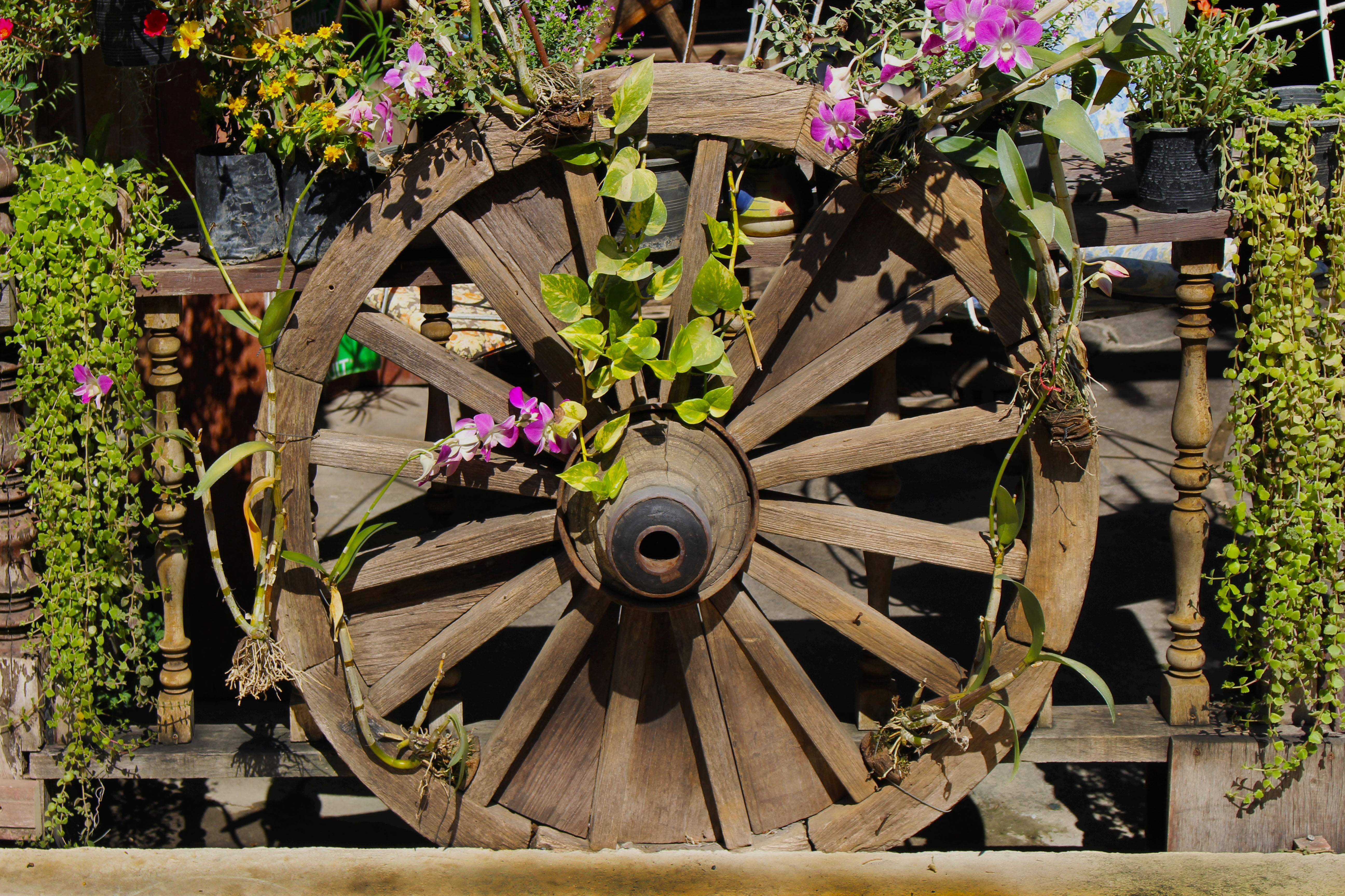 weathered, close-up, decoration, old, architecture, handmade, worn, western, wood, potted plant, growth, cart wheel, decorative, wooden, green color, hub, HD Wallpaper